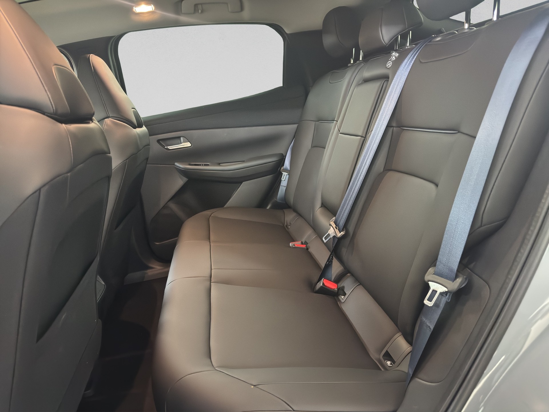 NISSAN Leaf 75 kWh Evolve-image-9