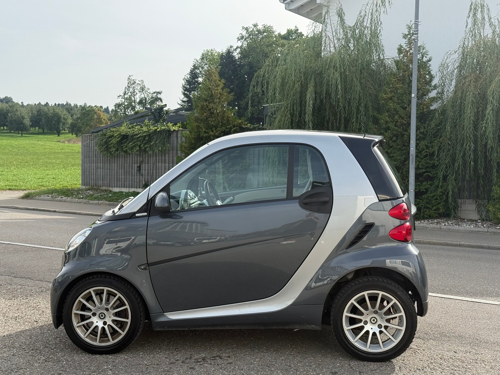 SMART 1000 84 pearlgrey edition-image-2