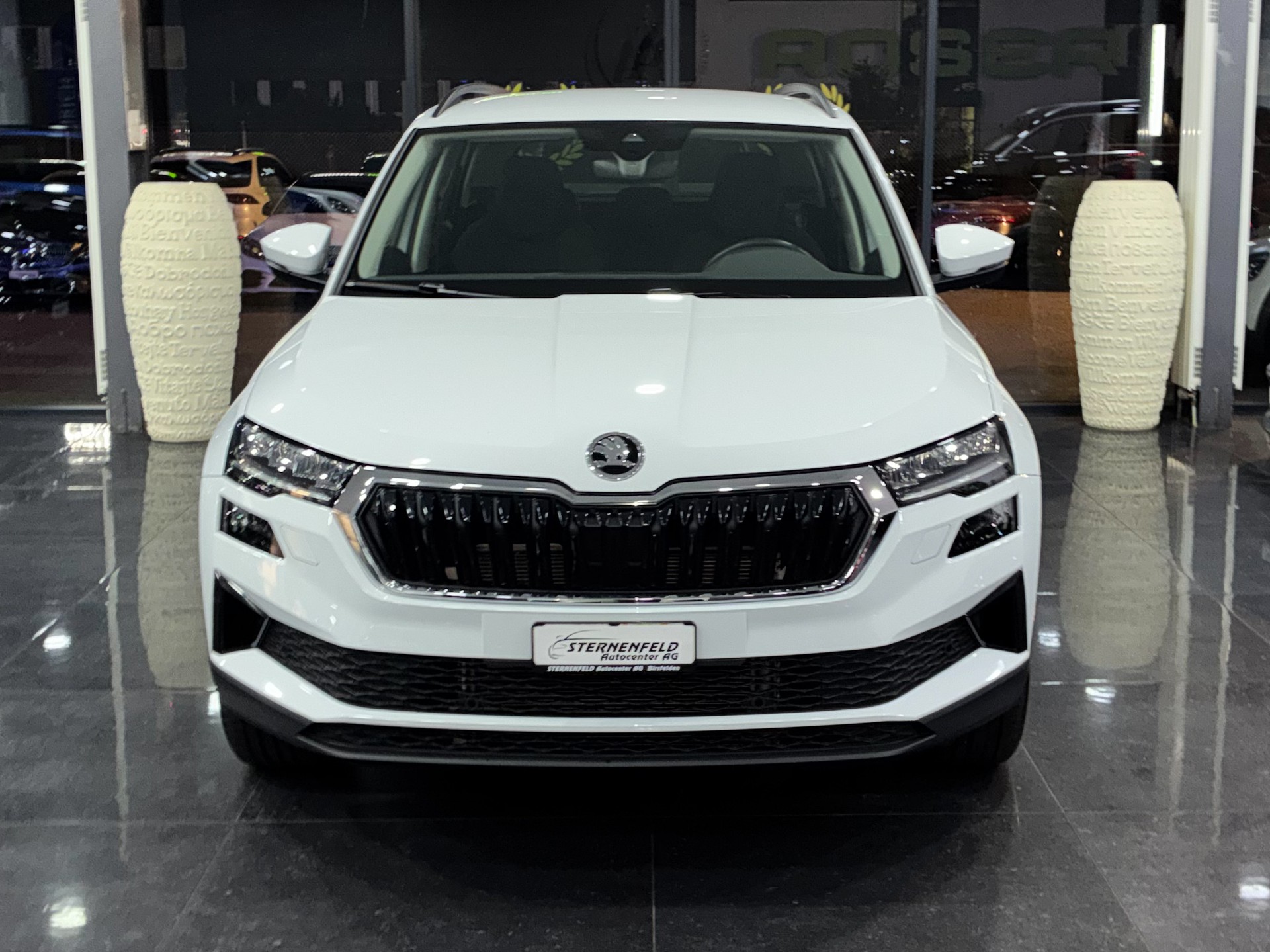 SKODA Karoq 1.5 TSI Ambition DSG-image-1