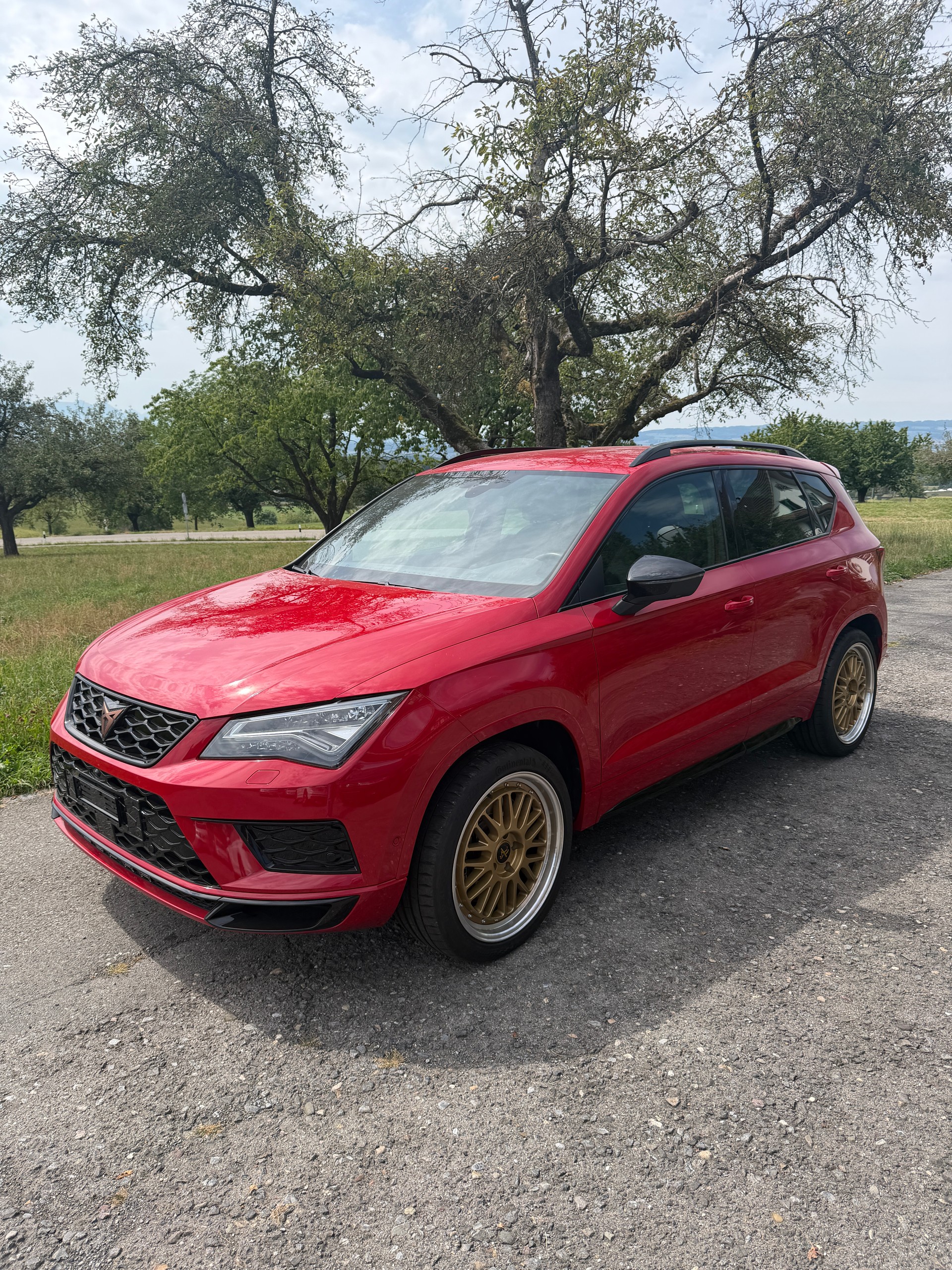CUPRA Ateca Cupra 2.0 TSI 4Drive DSG
