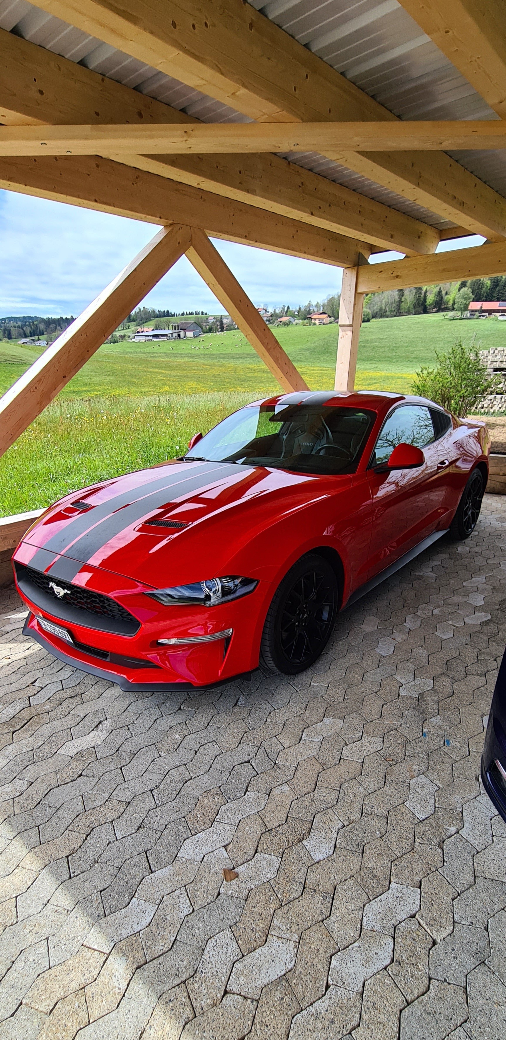FORD Mustang Fastback 2.3-image-0