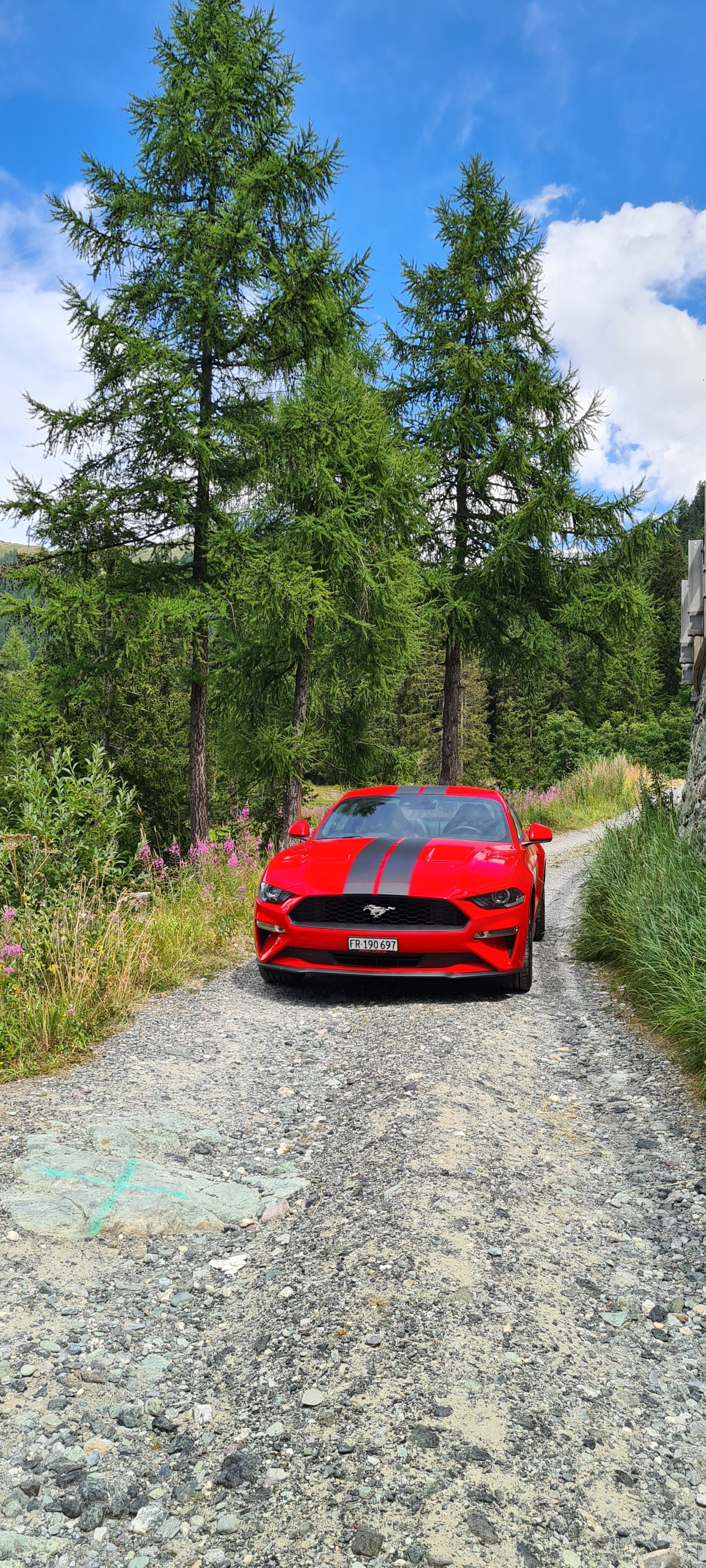 FORD Mustang Fastback 2.3-image-2
