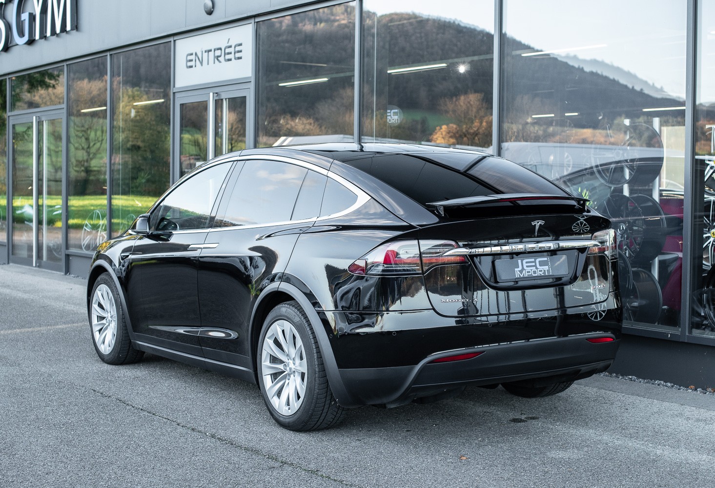 TESLA Model X 100 D Performance Ludicrous +-image-6