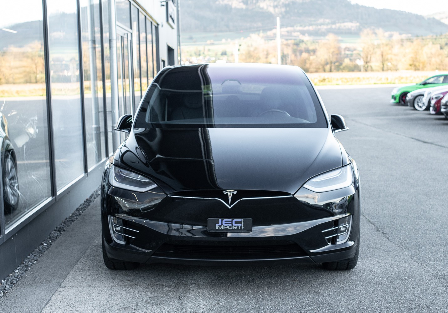 TESLA Model X 100 D Performance Ludicrous +-image-5
