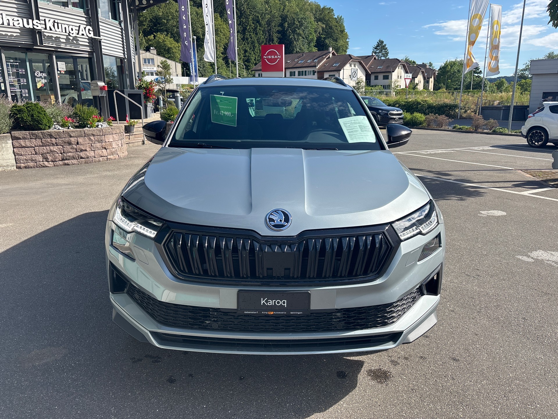 SKODA Karoq 2.0 TSI Sportline Dynamic Limited Edition 4x4 DSG-image-2