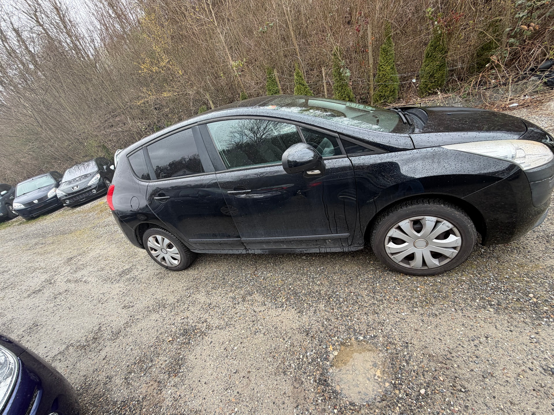 PEUGEOT 3008 1.6 16V VTI Business-image-4