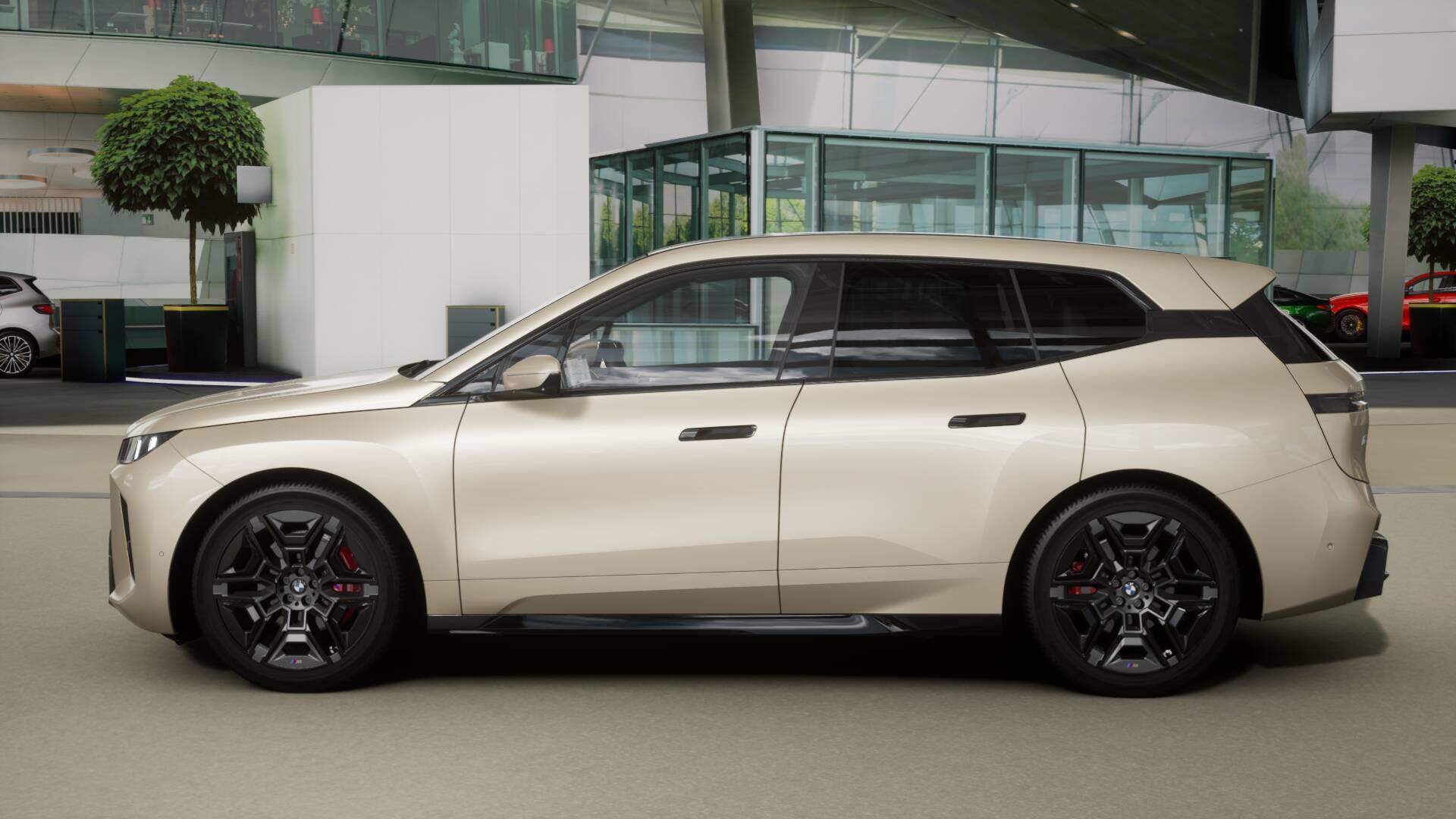 BMW iX xDrive60-image-3