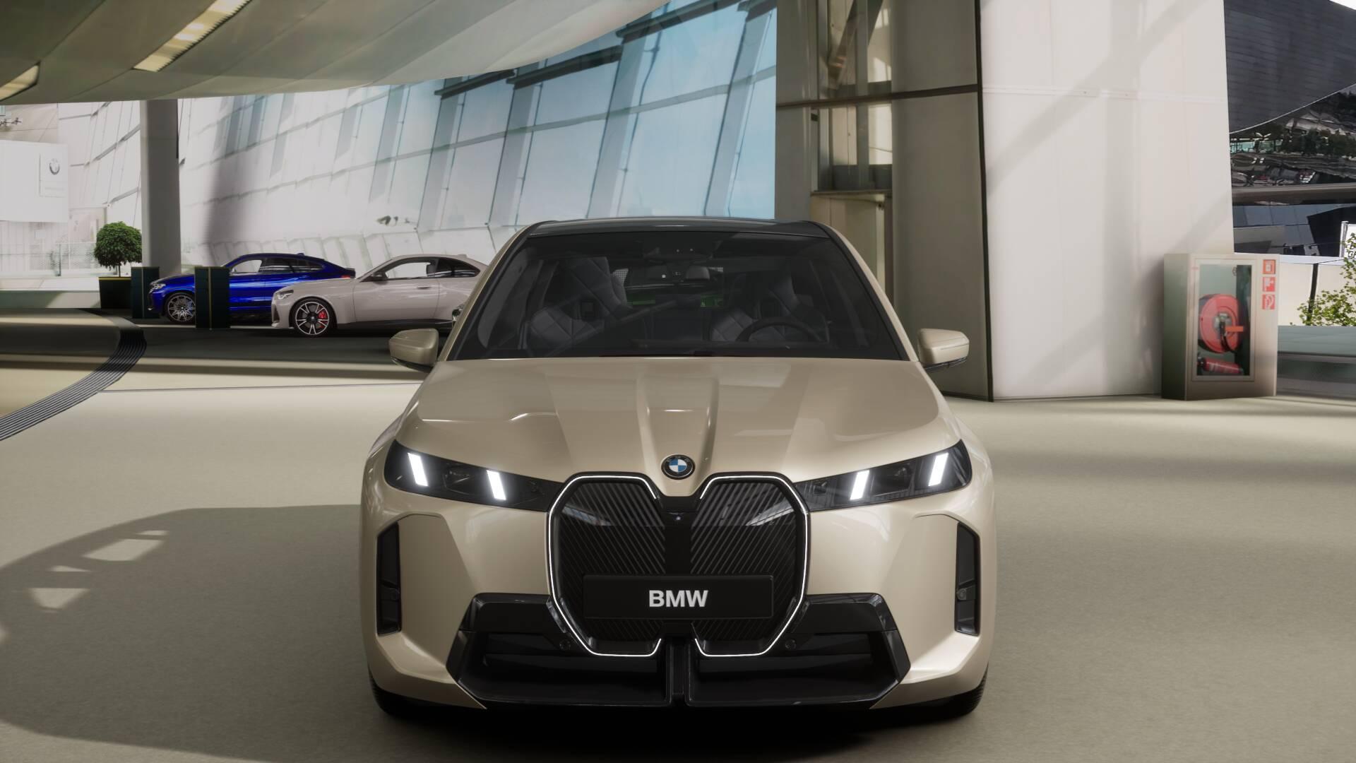 BMW iX xDrive60-image-2