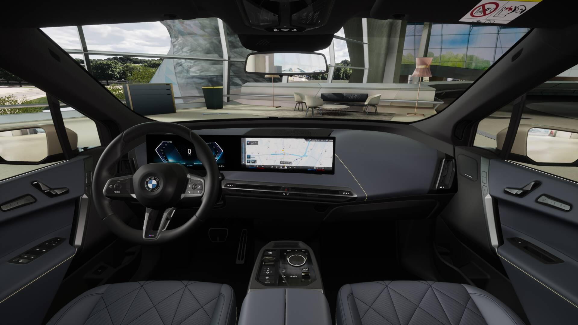 BMW iX xDrive60-image-9