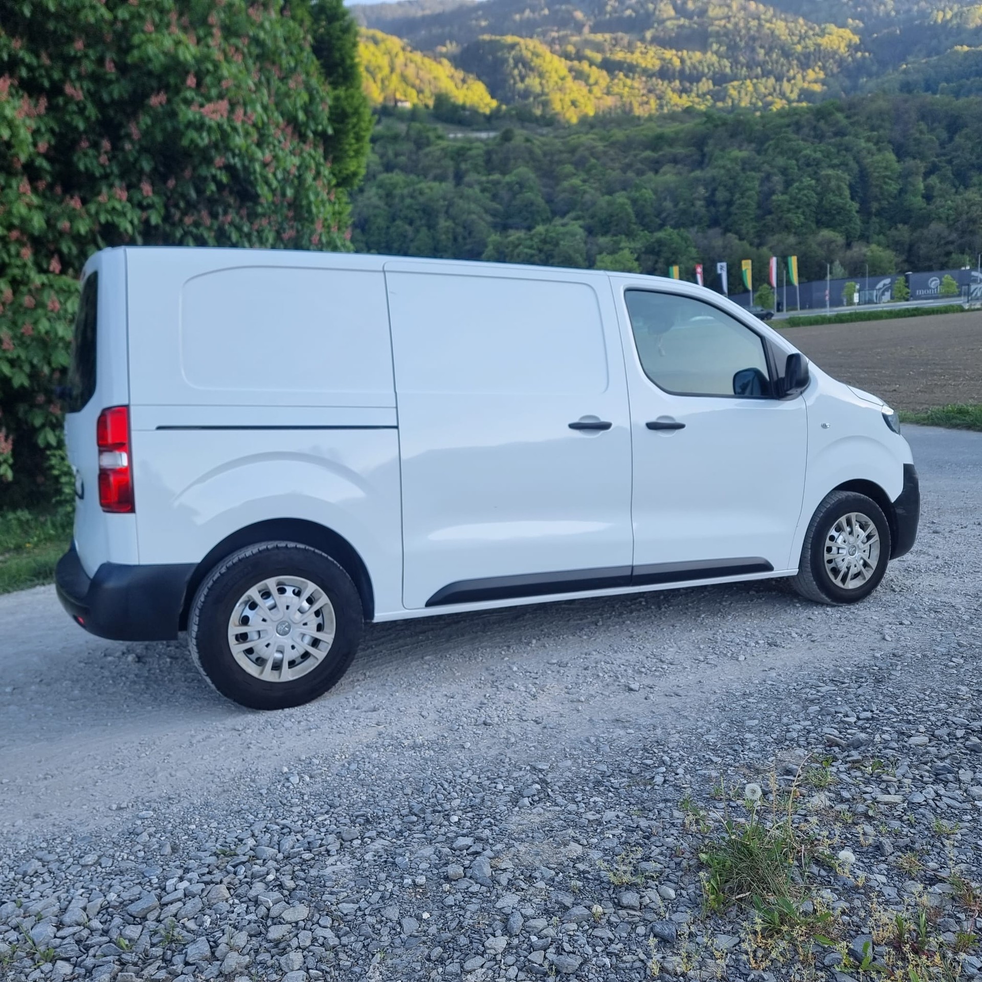 PEUGEOT EXPERT-image-4