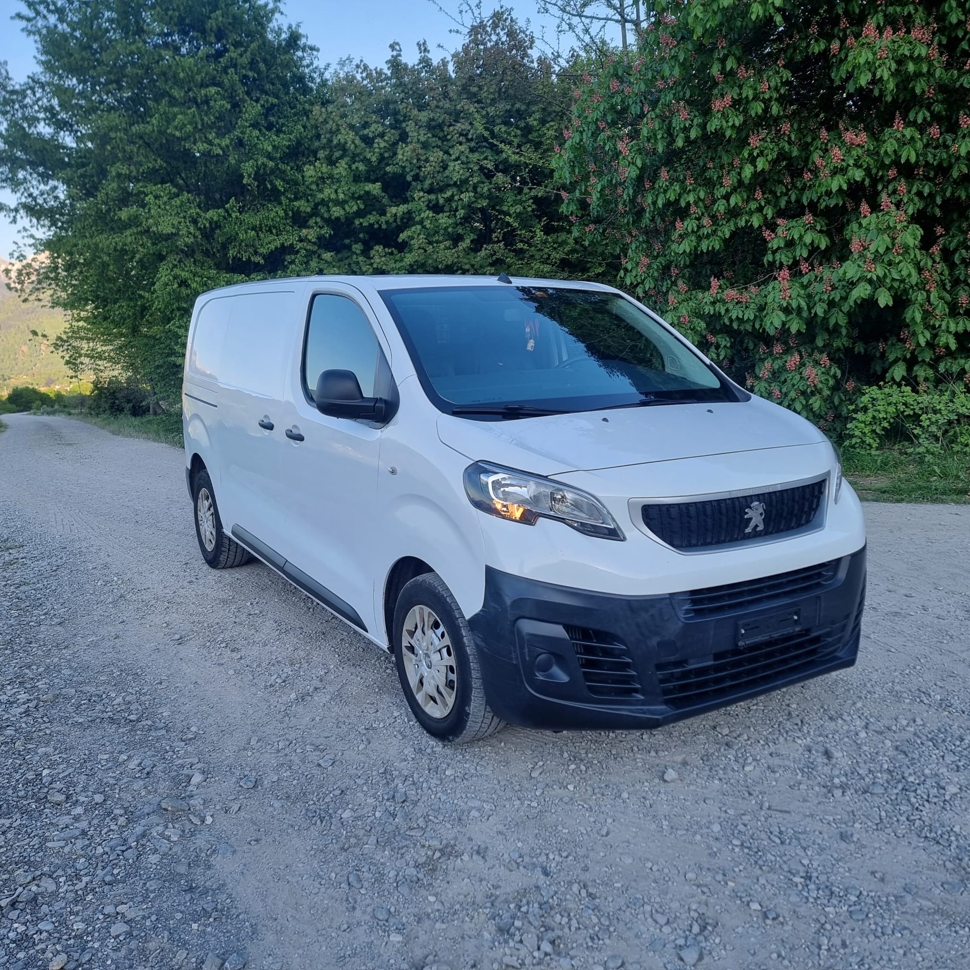 PEUGEOT EXPERT-image-0
