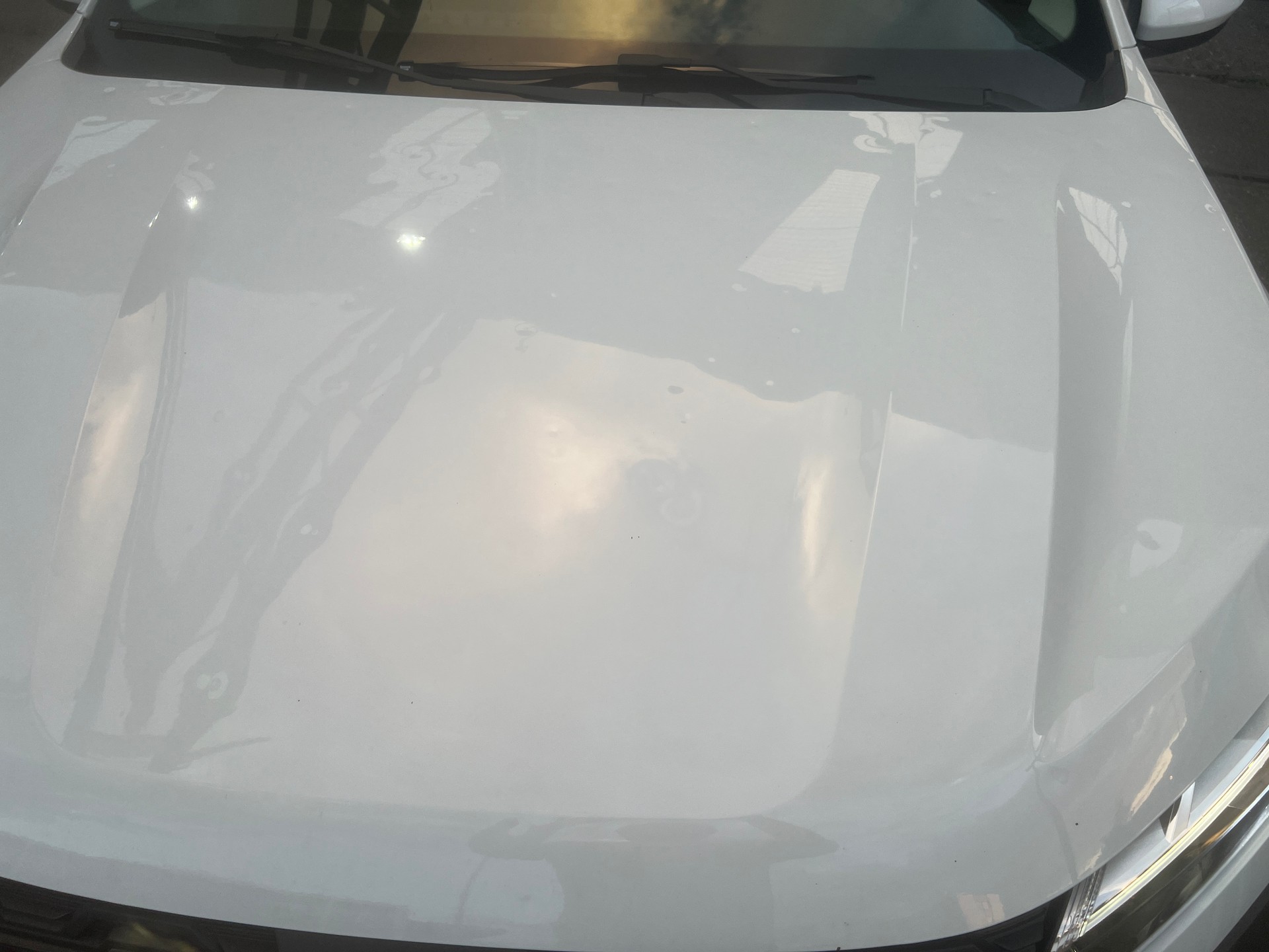 DACIA Sandero Stepway TCe 90 Comfort-image-15