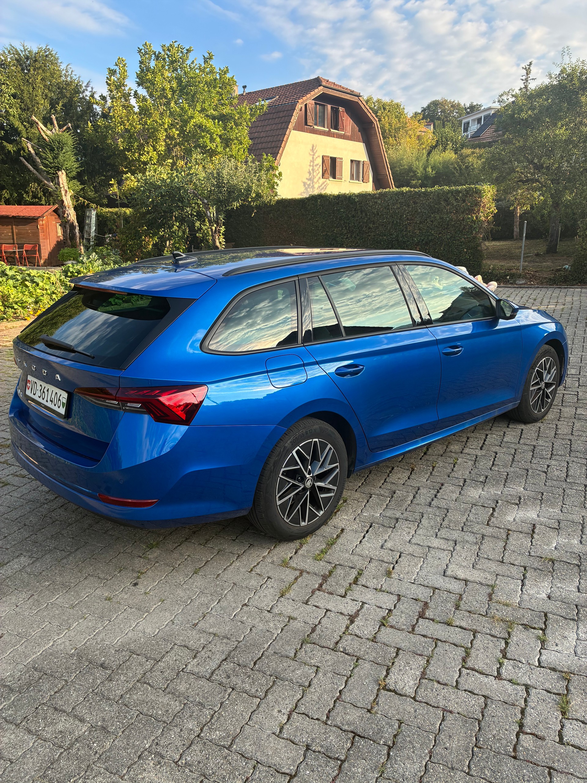 SKODA Ambition G-TEC 1.5 TSI 130 DSG-image-2