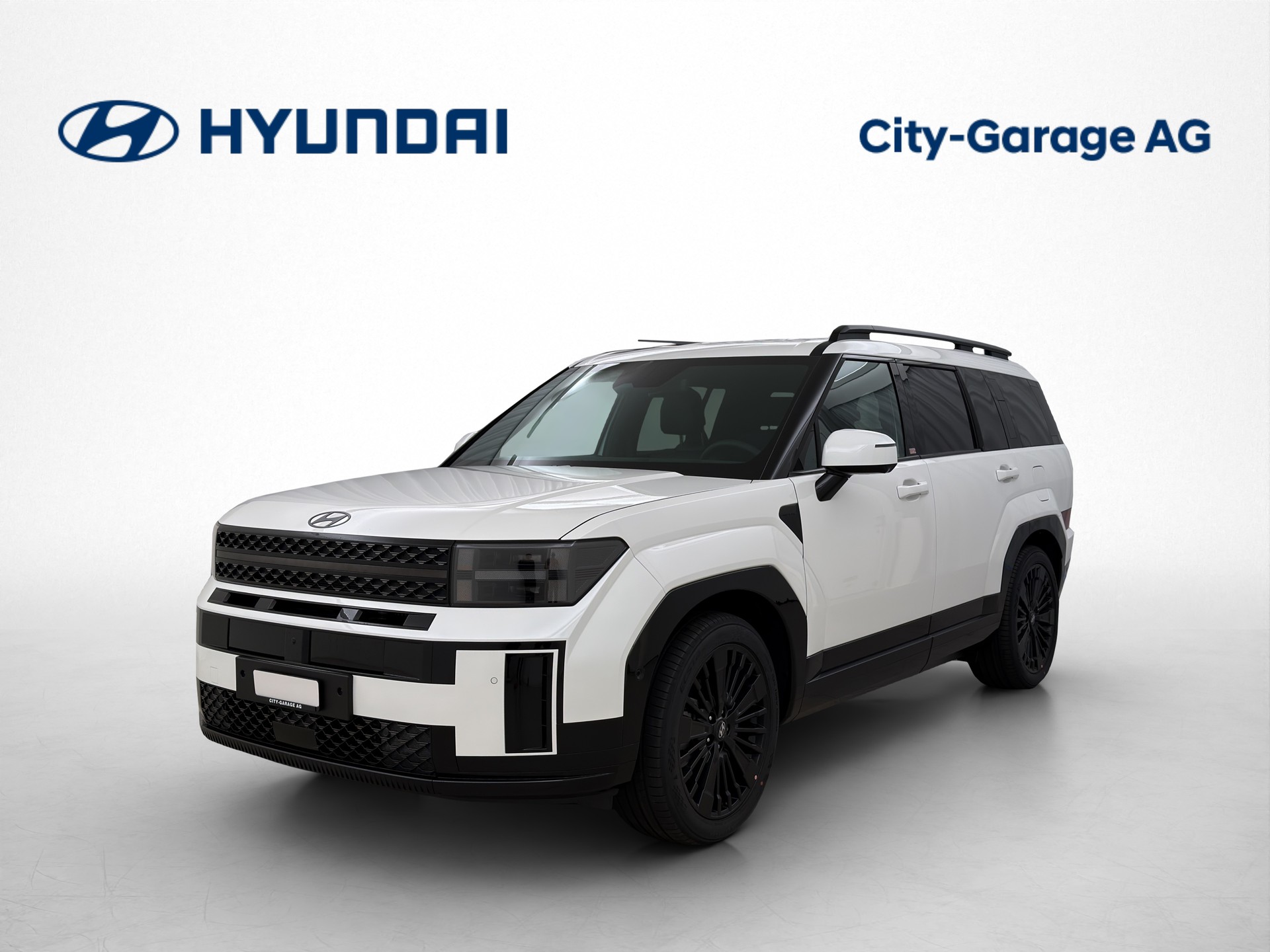 HYUNDAI Santa Fe 1.6 T-GDi PHEV Vertex Calligraphy-image-0