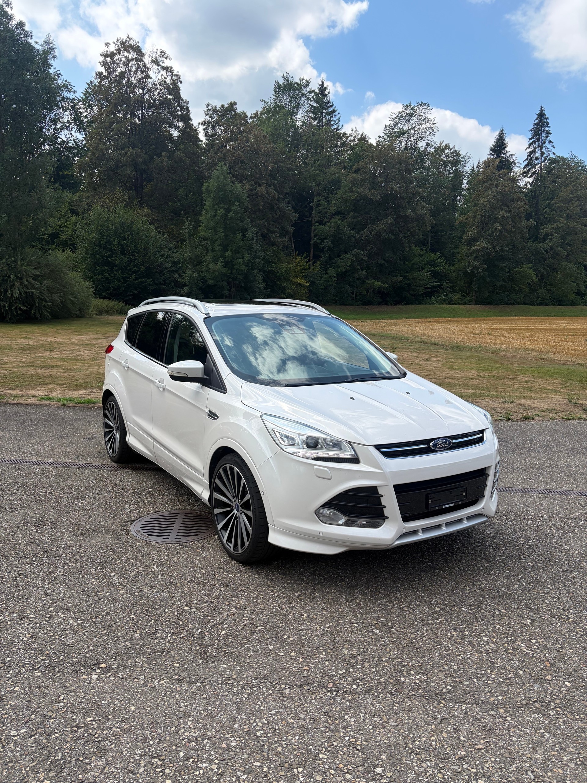 FORD Kuga 2.0 TDCi Carving 4WD PowerShift-image-5
