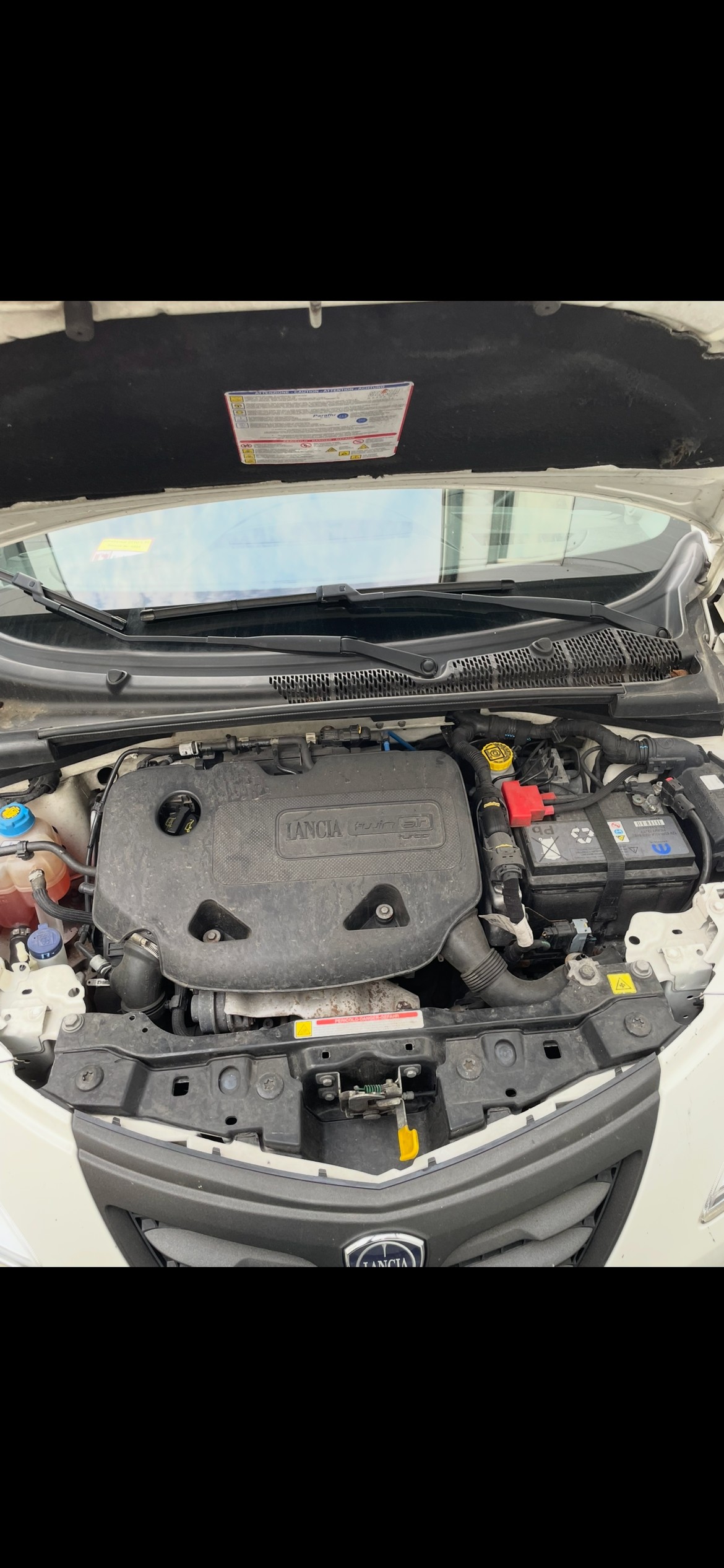 LANCIA YPSILON-image-2