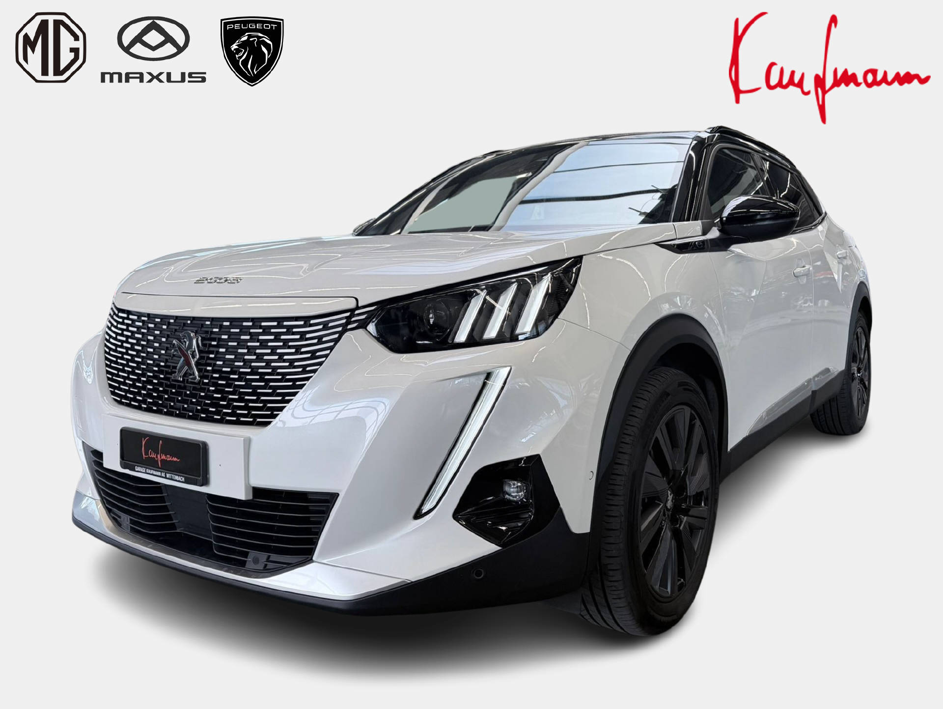 PEUGEOT 2008 e-GT Pack-image-1