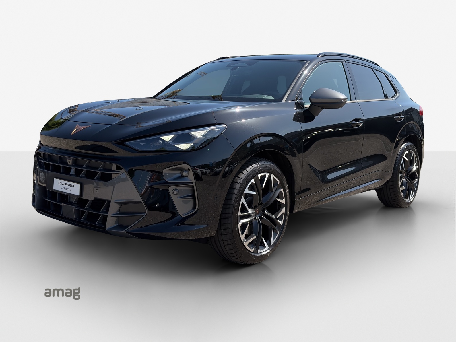 CUPRA Terramar 2.0 TSI DSG 4Drive VZ-image-0