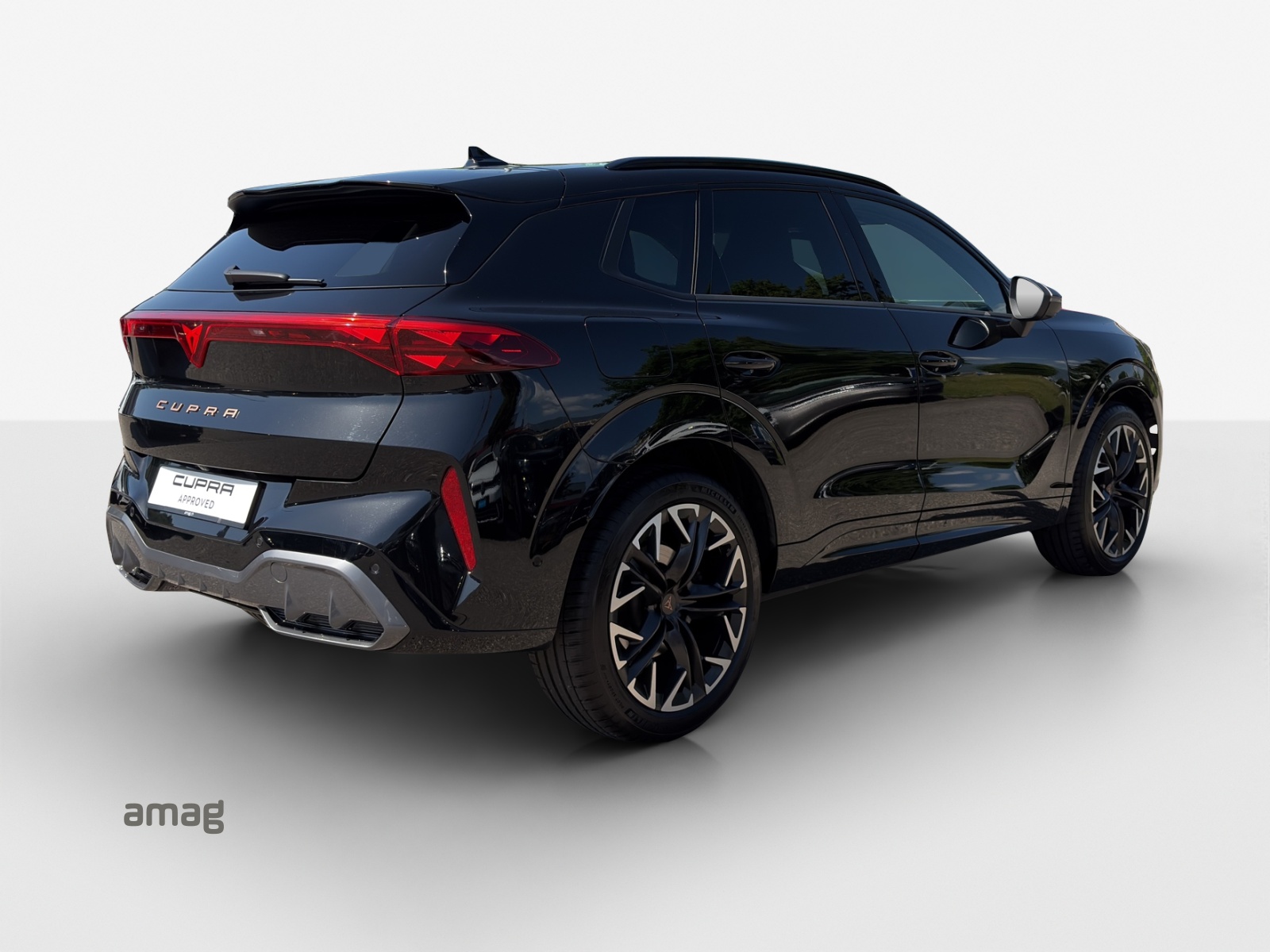 CUPRA Terramar 2.0 TSI DSG 4Drive VZ-image-4