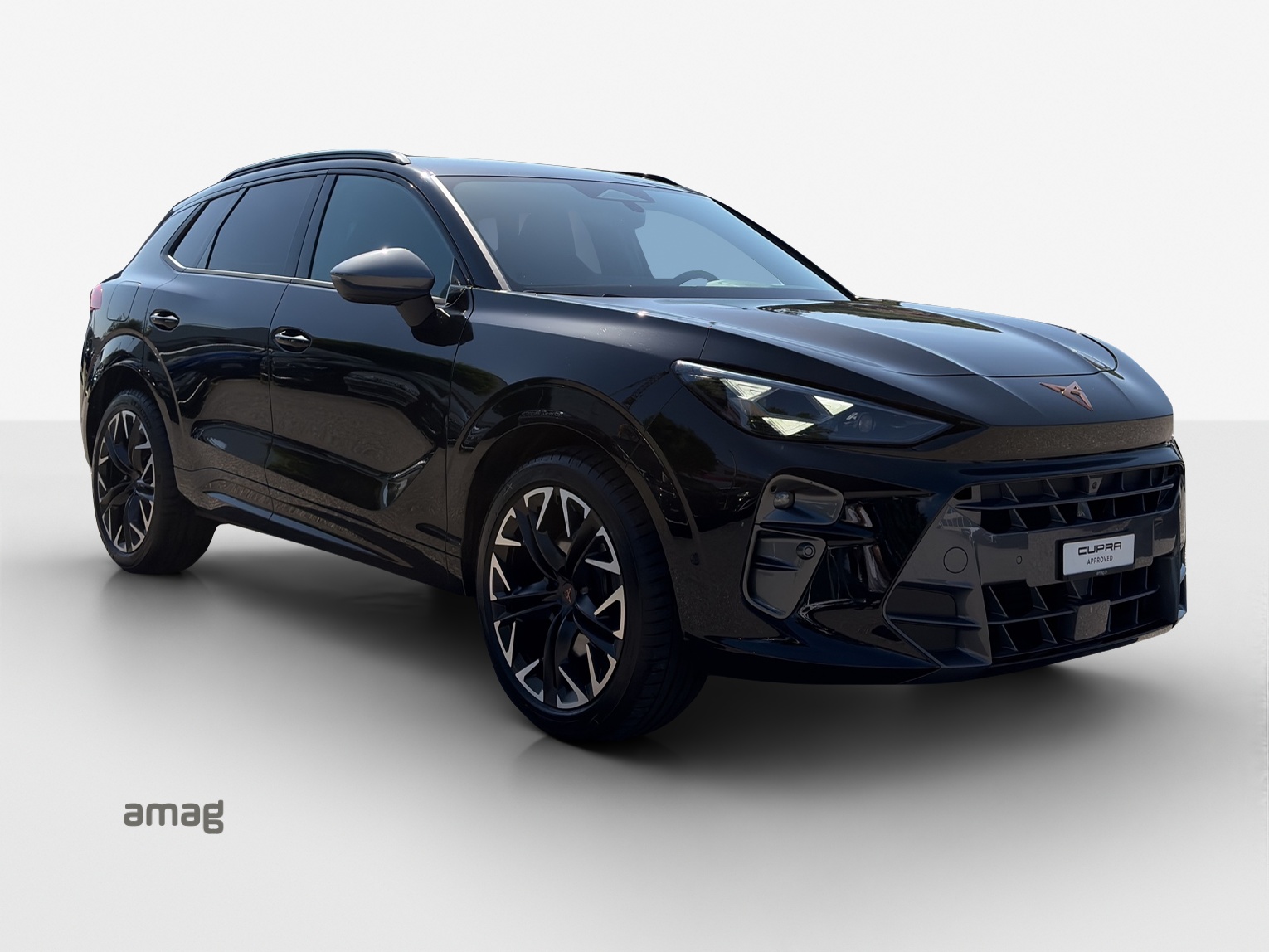 CUPRA Terramar 2.0 TSI DSG 4Drive VZ-image-5