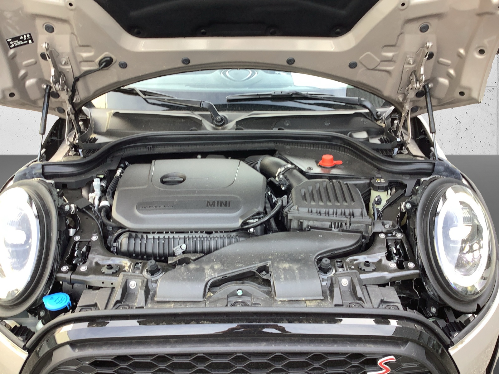 MINI Cooper S Cabr Side Ed DKG-image-9