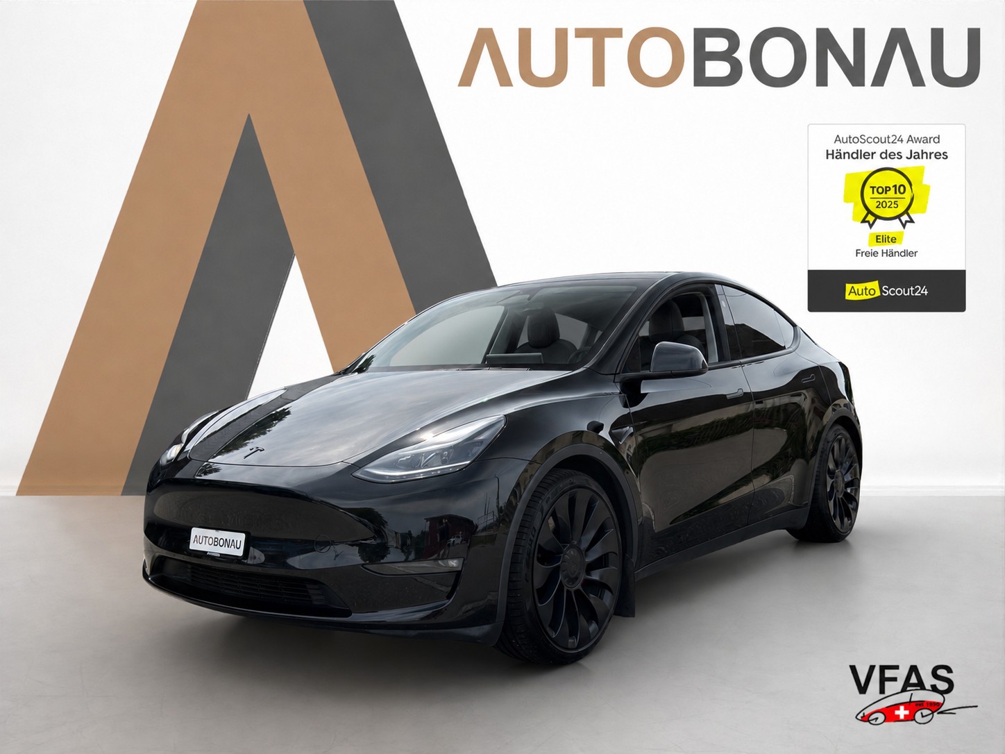 TESLA Model Y Performance D Anhängerkupplung