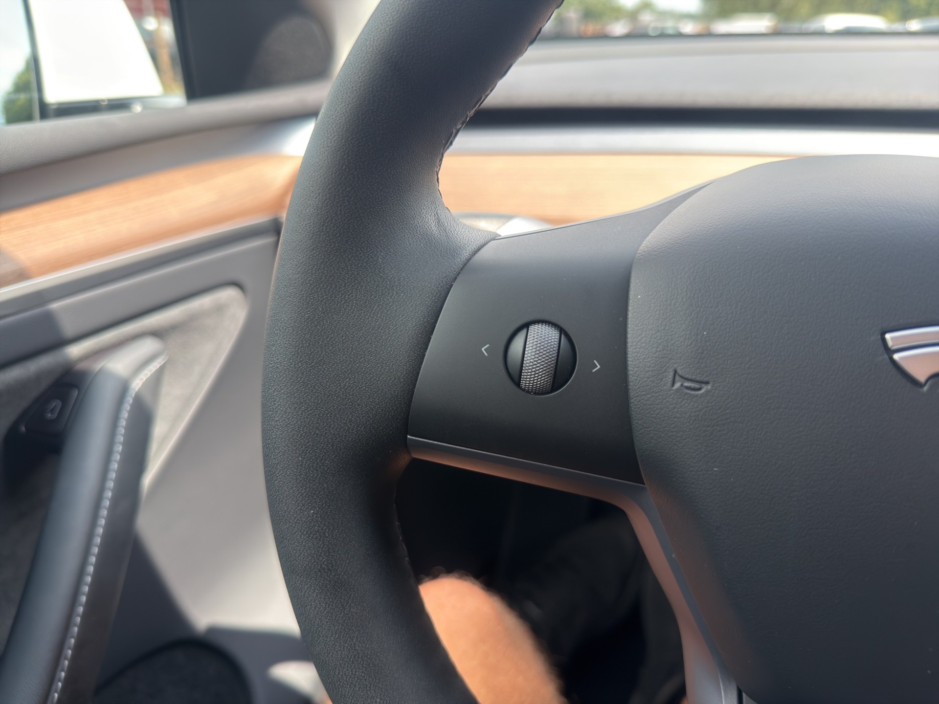 TESLA Model Y Performance D Anhängerkupplung-image-27