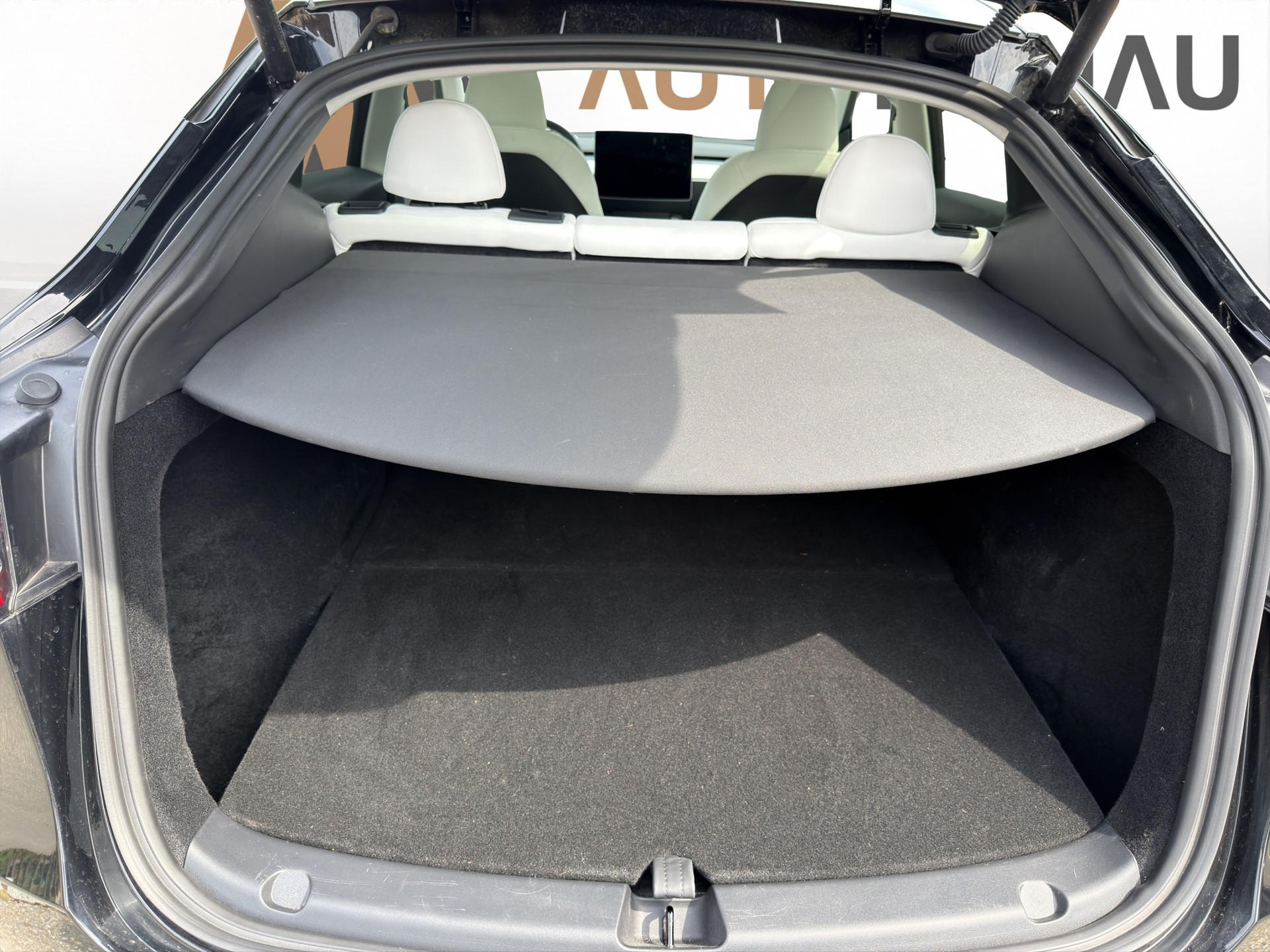 TESLA Model Y Performance D Anhängerkupplung-image-7