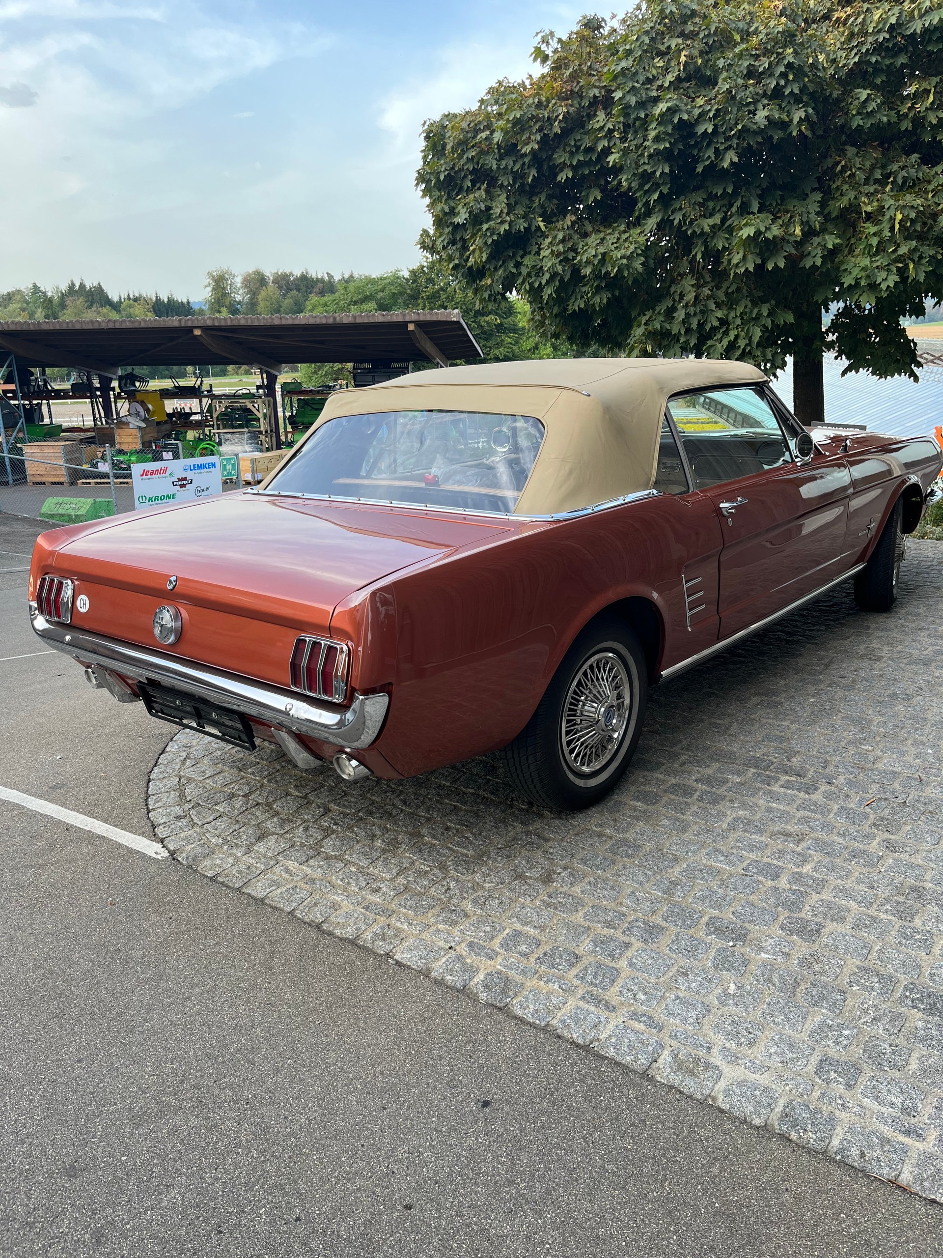 FORD MUSTANG-image-1