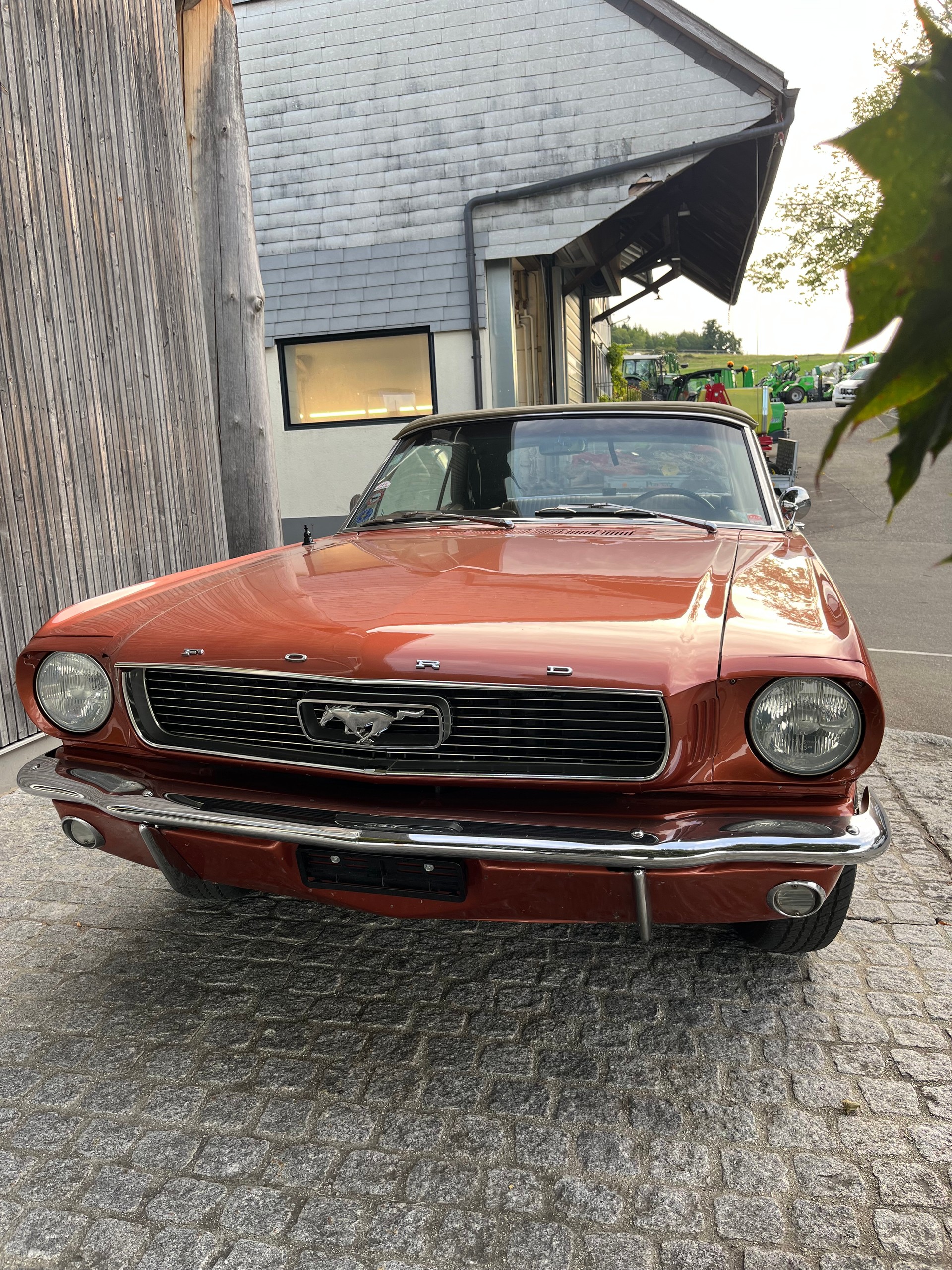 FORD MUSTANG-image-0