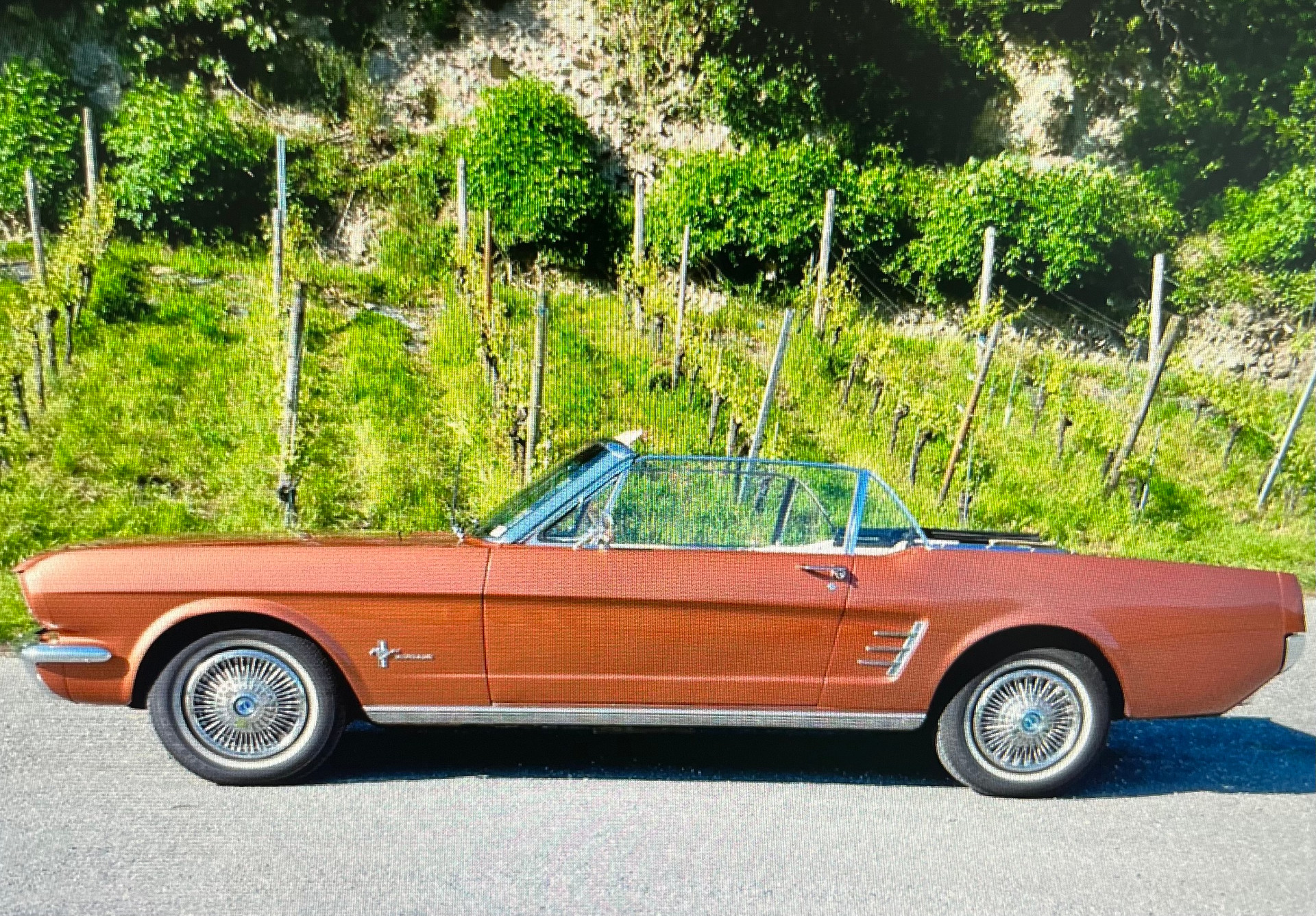 FORD MUSTANG-image-5