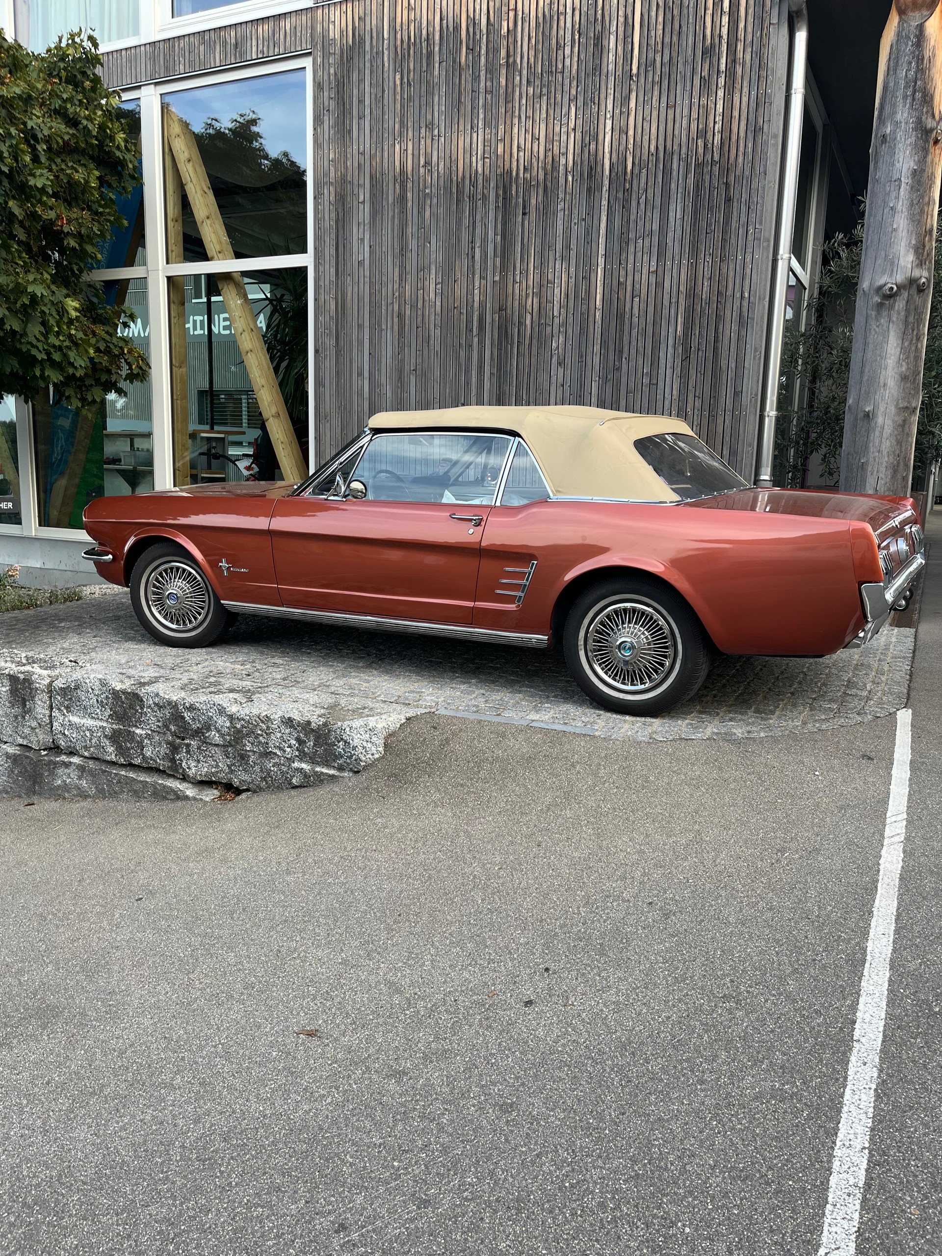 FORD MUSTANG-image-2