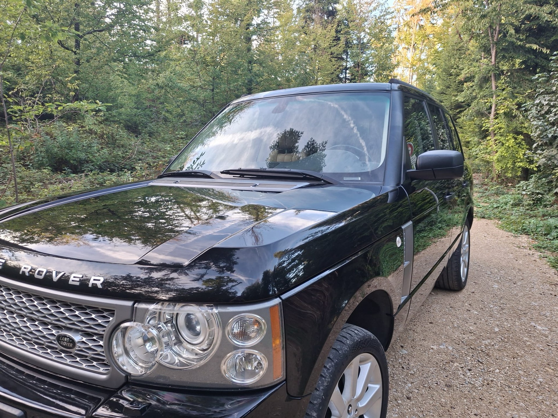 LAND ROVER 4.2 V8 SC Autobiography-image-4