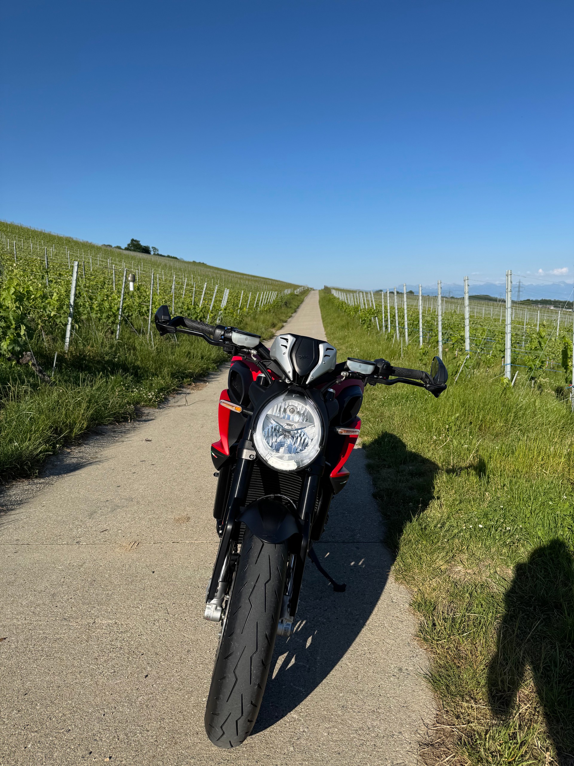 MV AGUSTA Dragster 800 Rosso-image-3