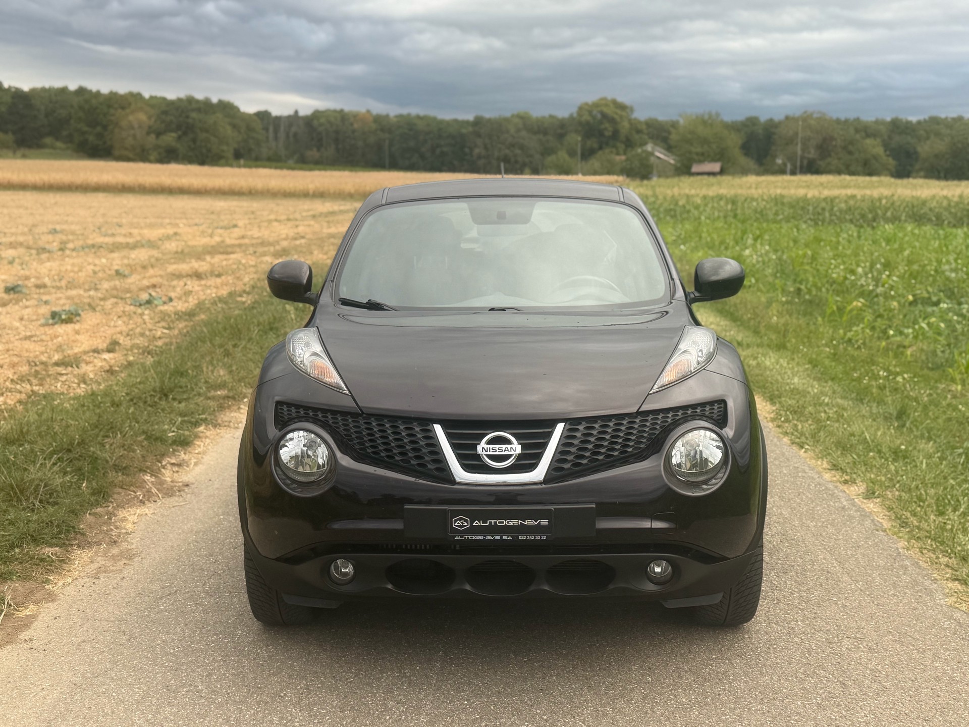 NISSAN Juke 1.6 DIG-T n-tec 4x4 Xtronic M-CVT-image-0