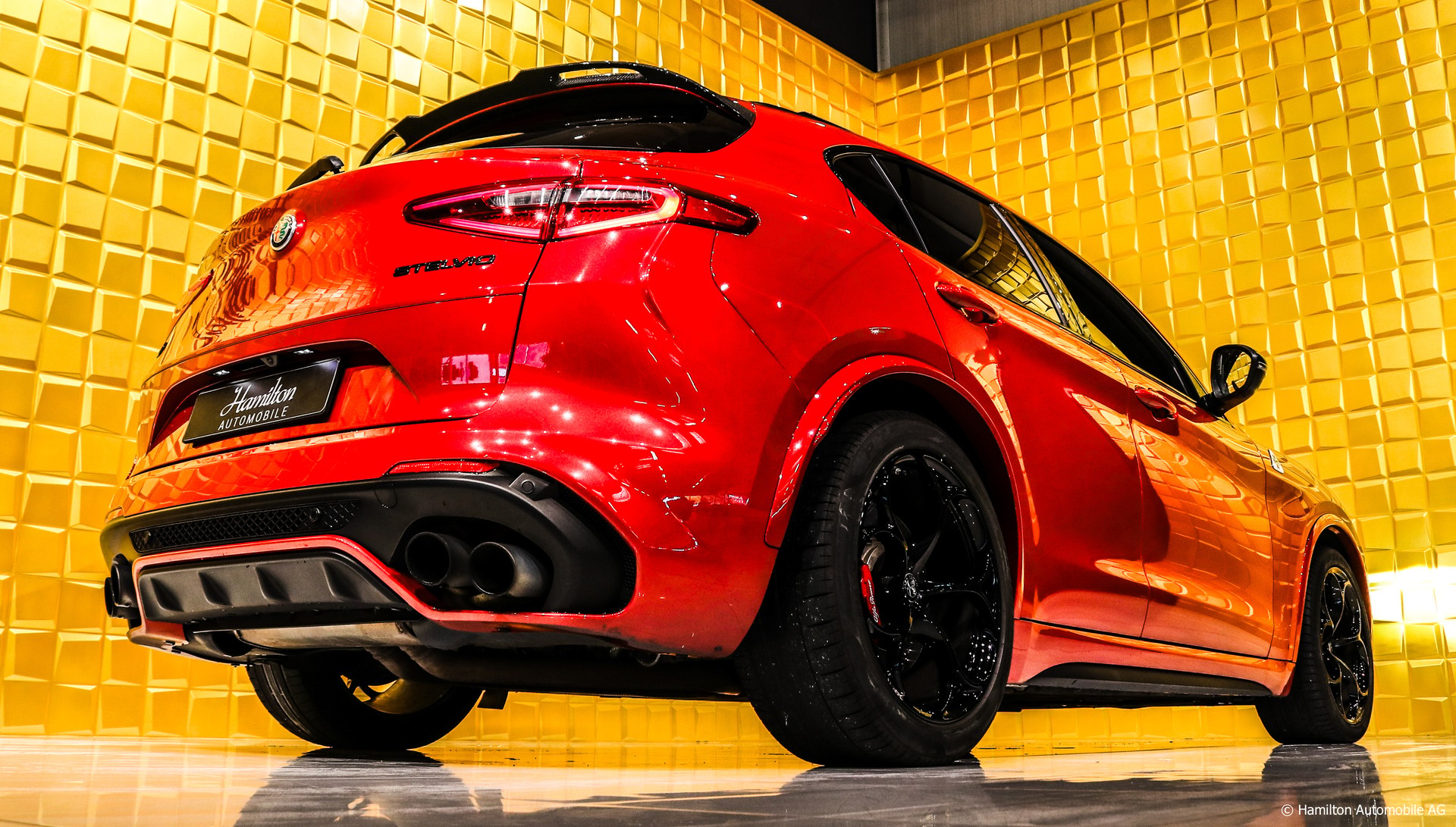 ALFA ROMEO Stelvio 2.9 V6 Quadrifoglio Q4 Automatic-image-6