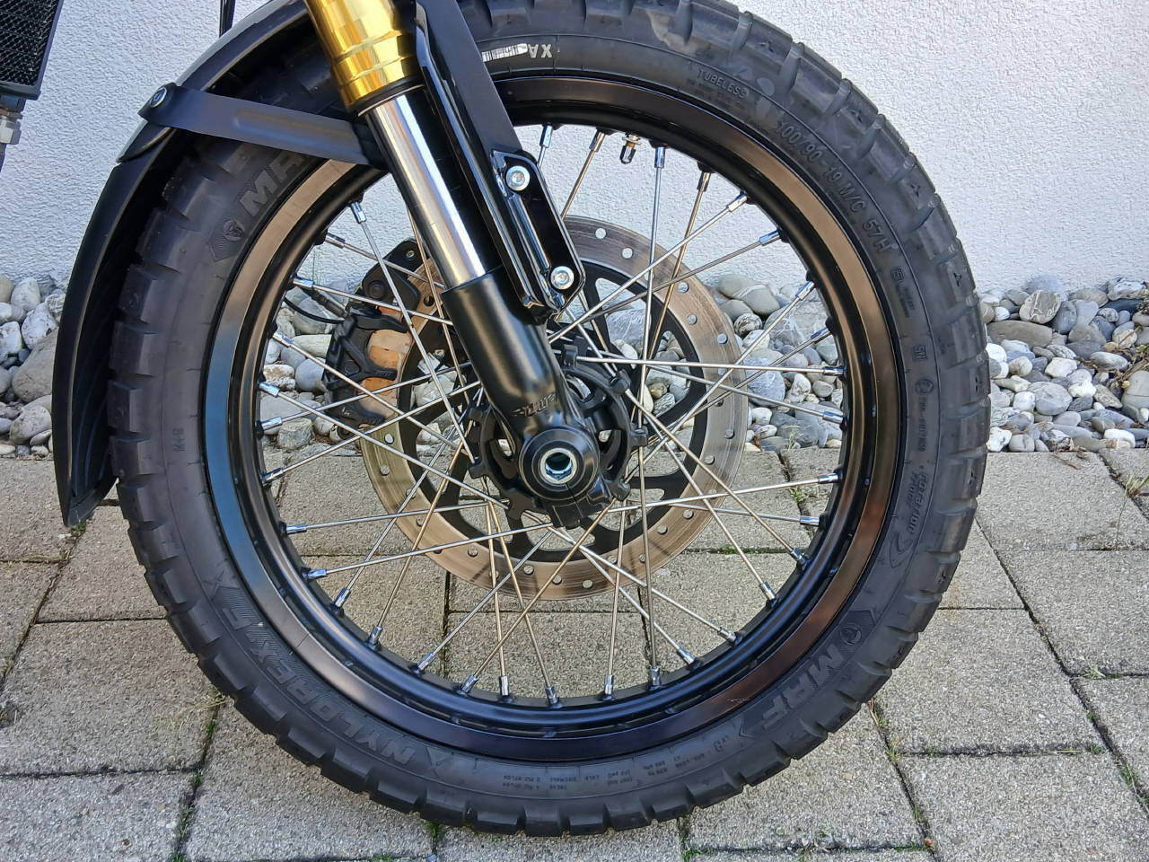 ROYAL ENFIELD Bear 650 Mid-showroom-element-3