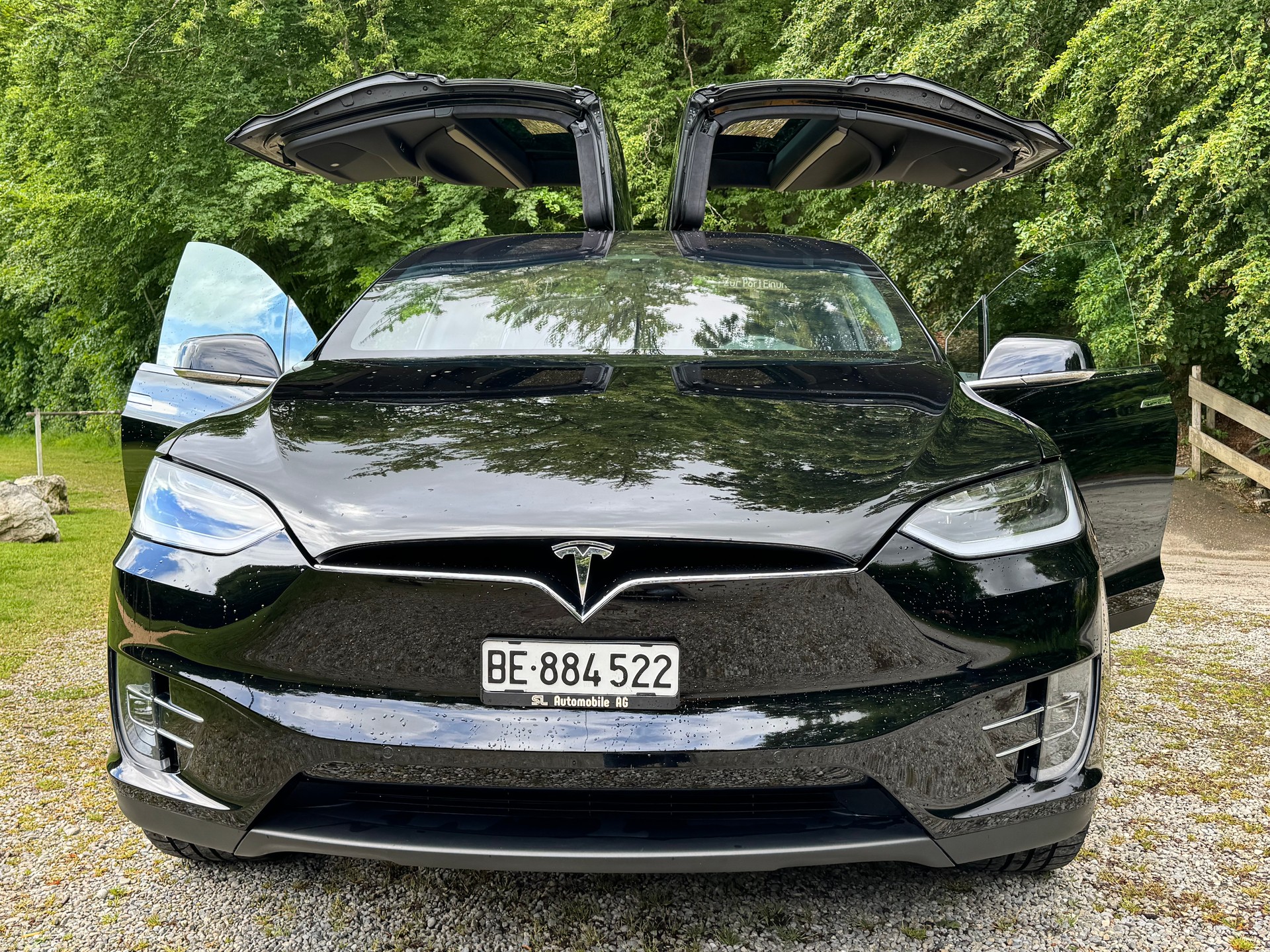 TESLA Model X 100D, 6 Sitze-image-0