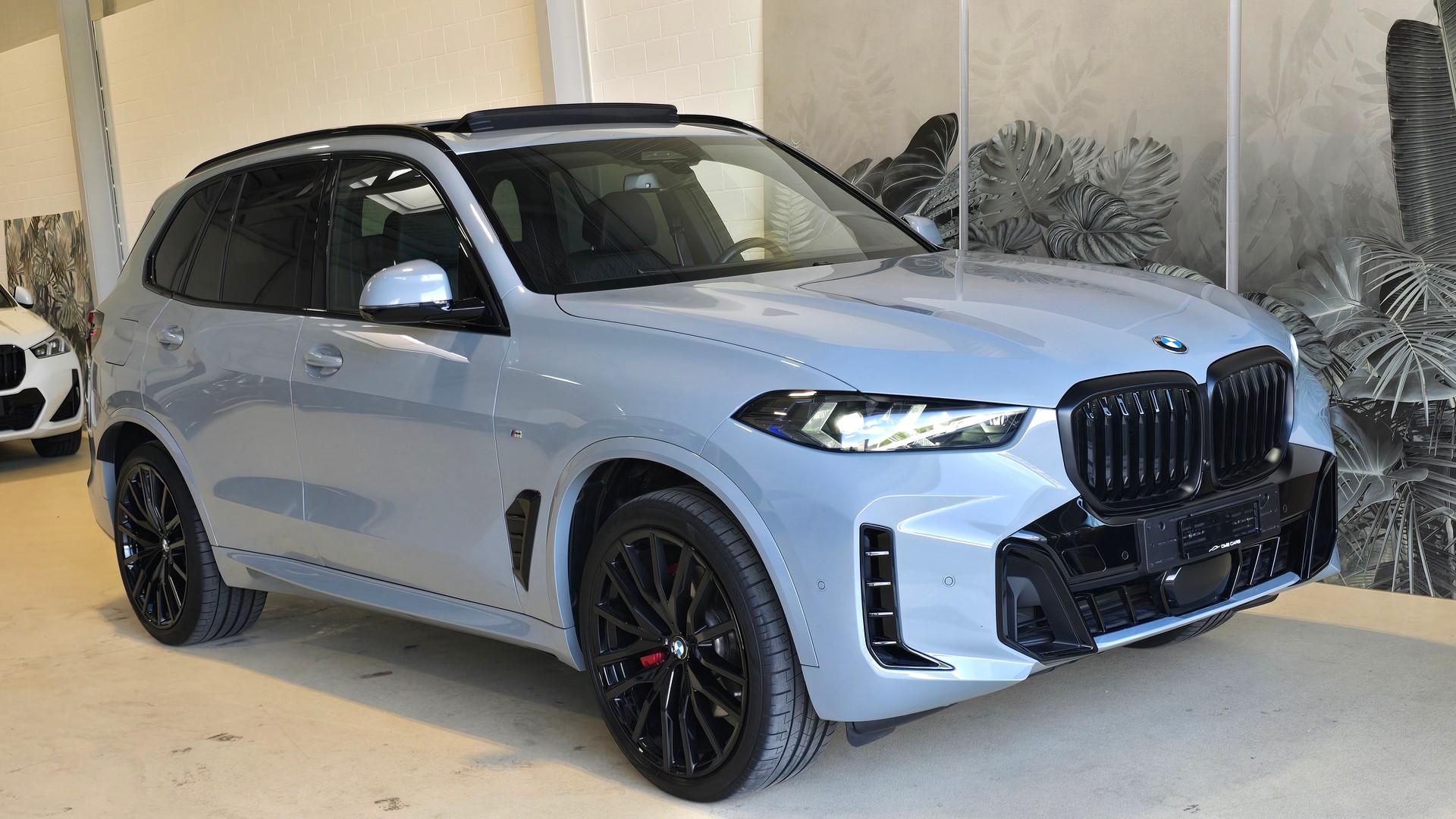 BMW X5 xDrive 48V 30d M Sport Pro Steptronic-showroom-element-1