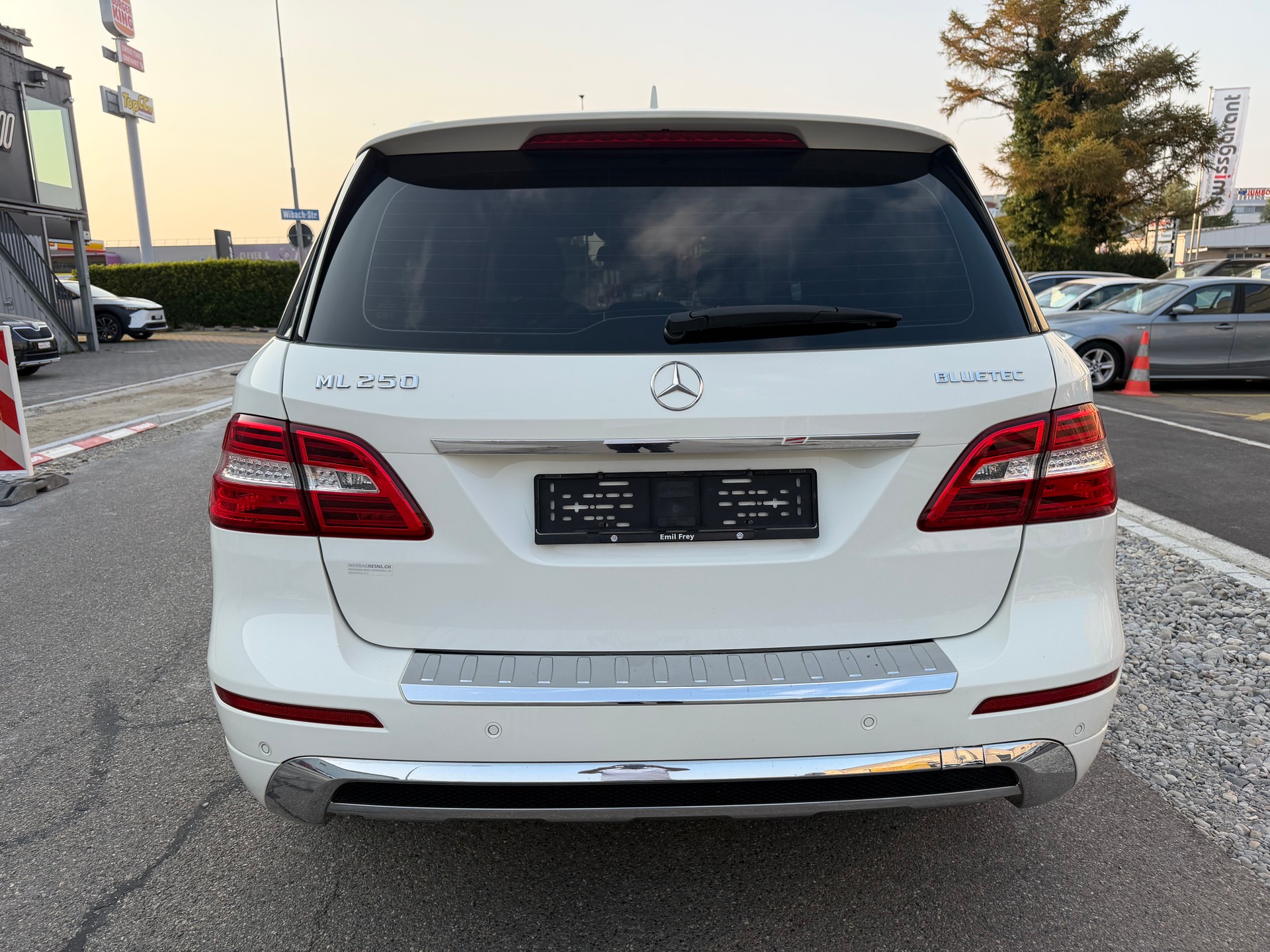 MERCEDES-BENZ ML 250 BlueTEC Edition 4Matic 7G-Tronic-image-5