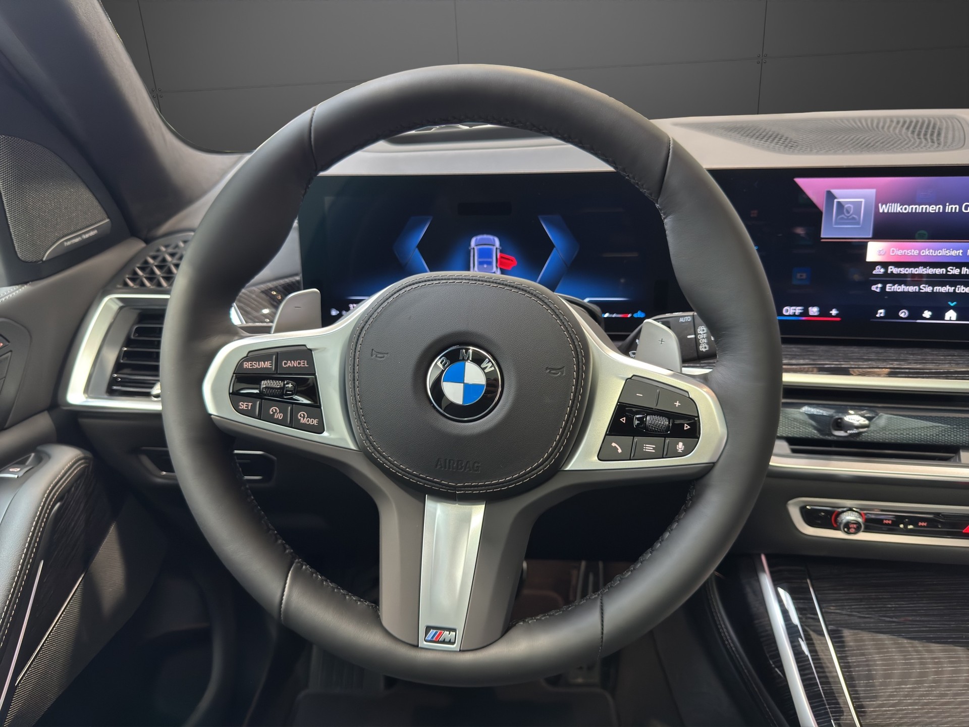 BMW X7 G07 40d xDrive SAG-image-10