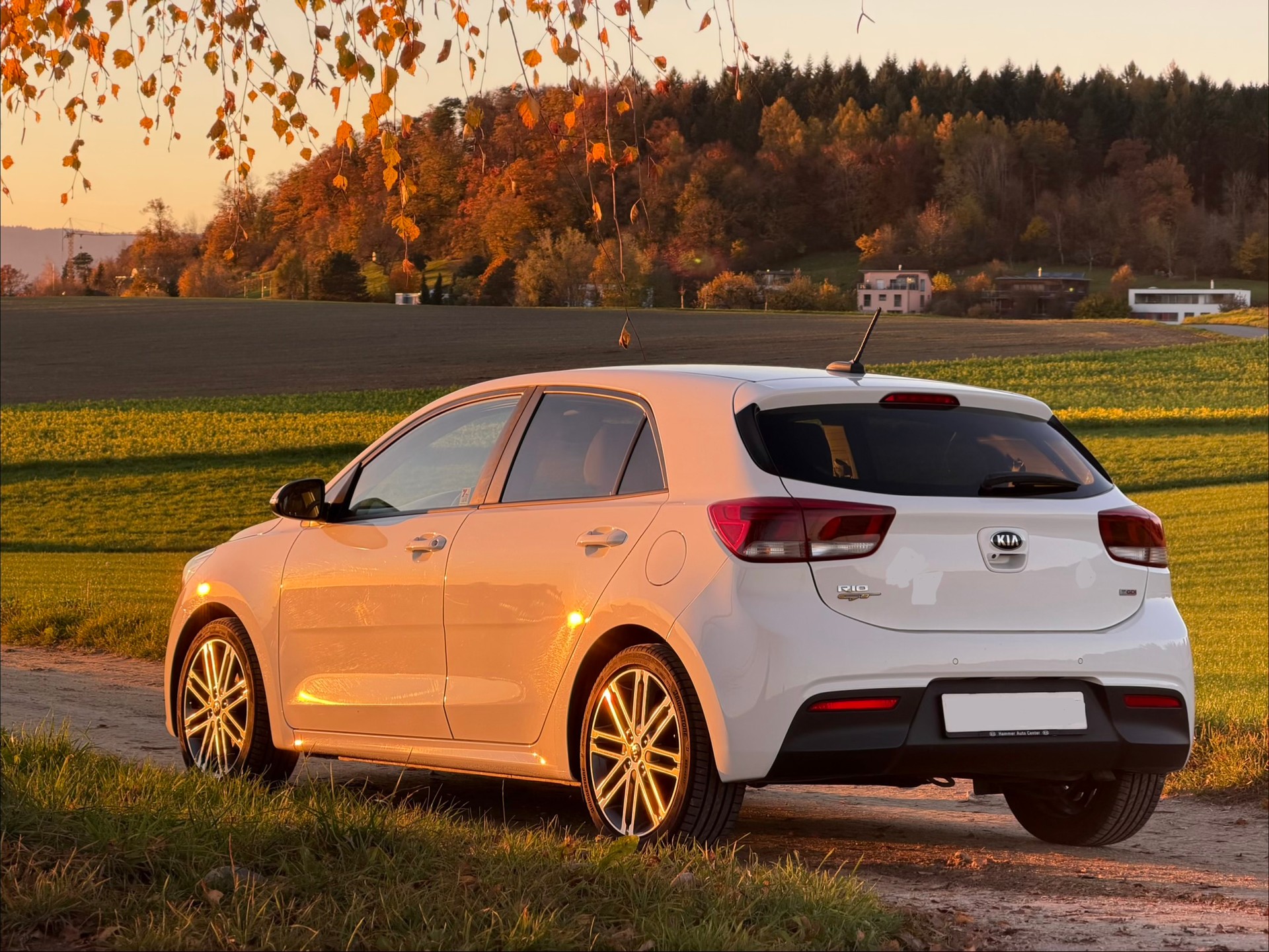 KIA 1.0 T-GDi GT-image-2