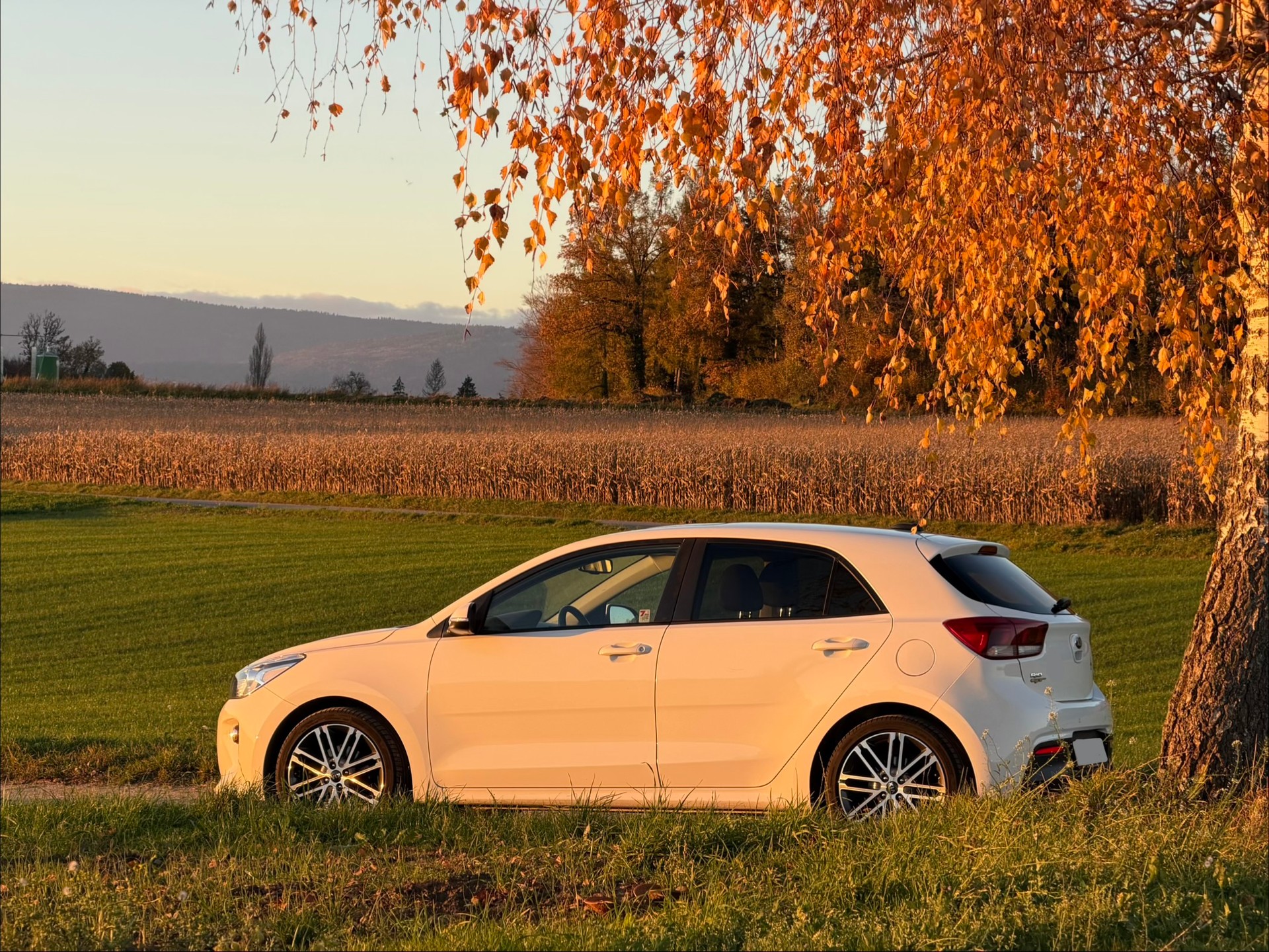 KIA 1.0 T-GDi GT-image-1