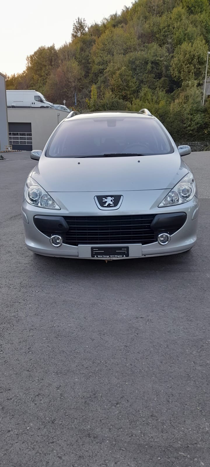 PEUGEOT 2.0 16V 143 Platinum Edition-image-0