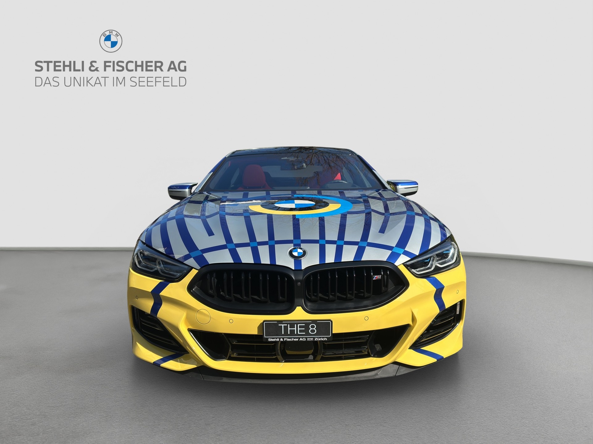 BMW M850i xDrive Steptronic JEFF KOONS 1 von 99-image-4