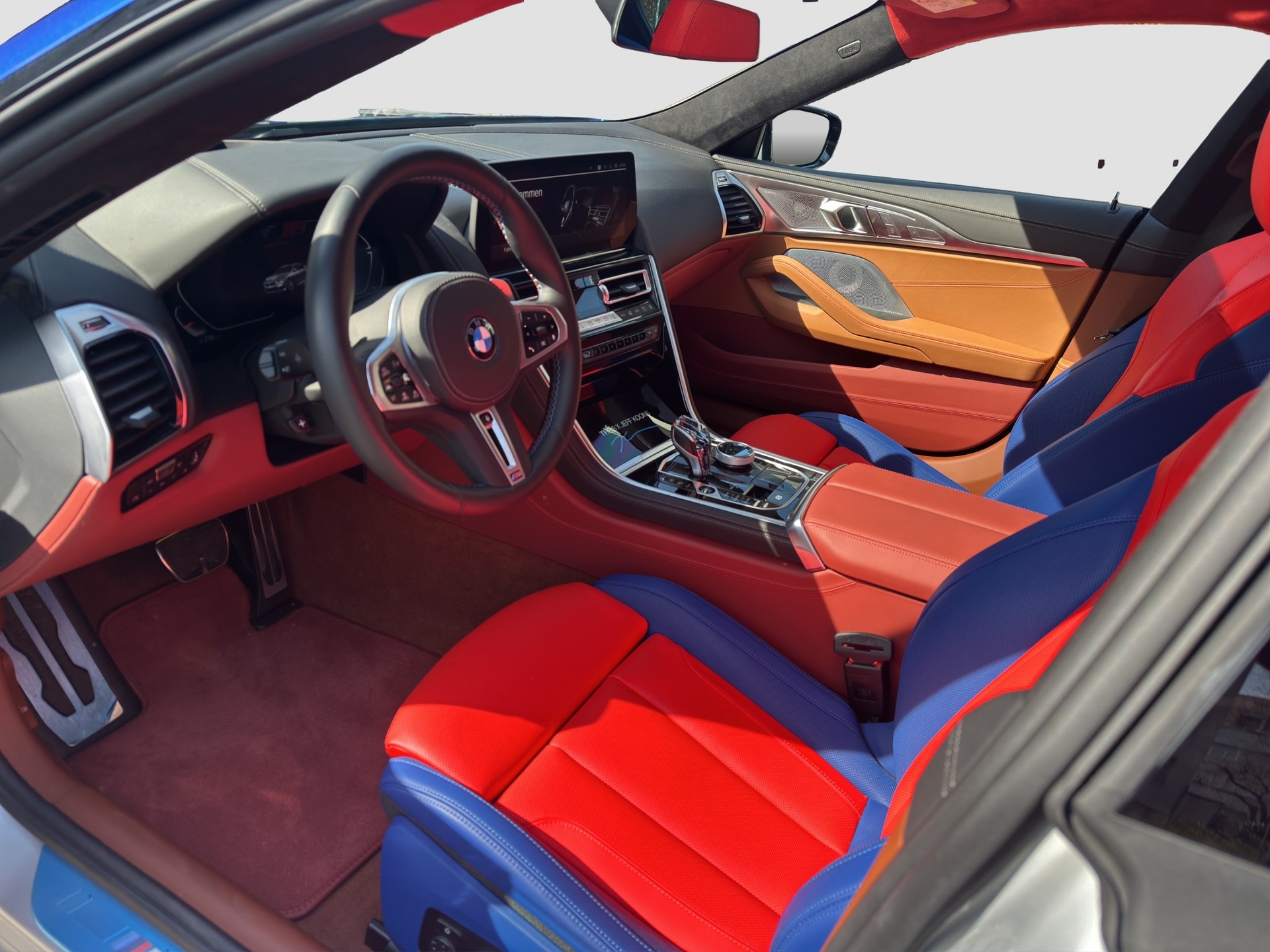 BMW M850i xDrive Steptronic JEFF KOONS 1 von 99-image-8