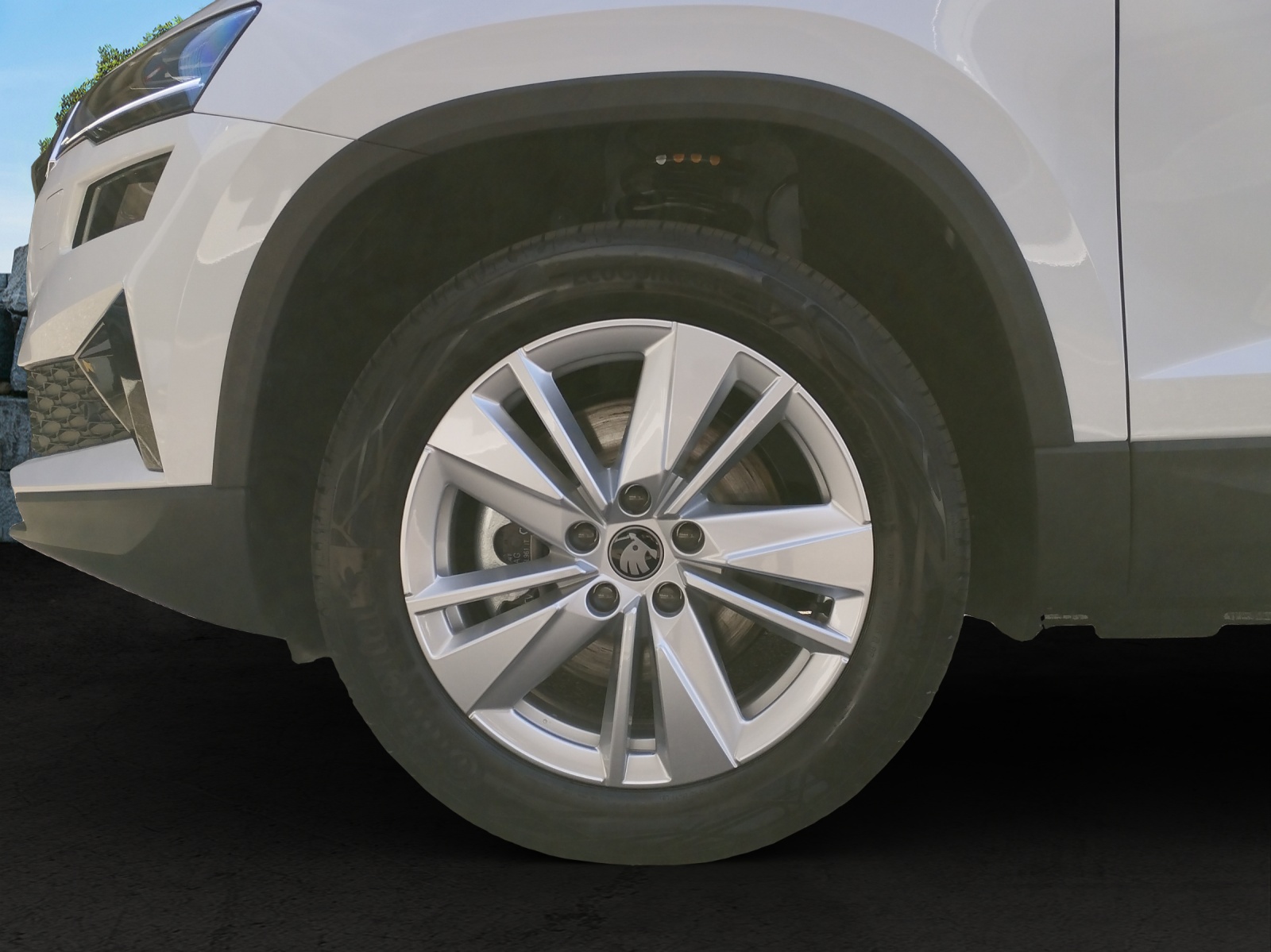 SKODA Karoq 1.5 TSI Selection-image-13