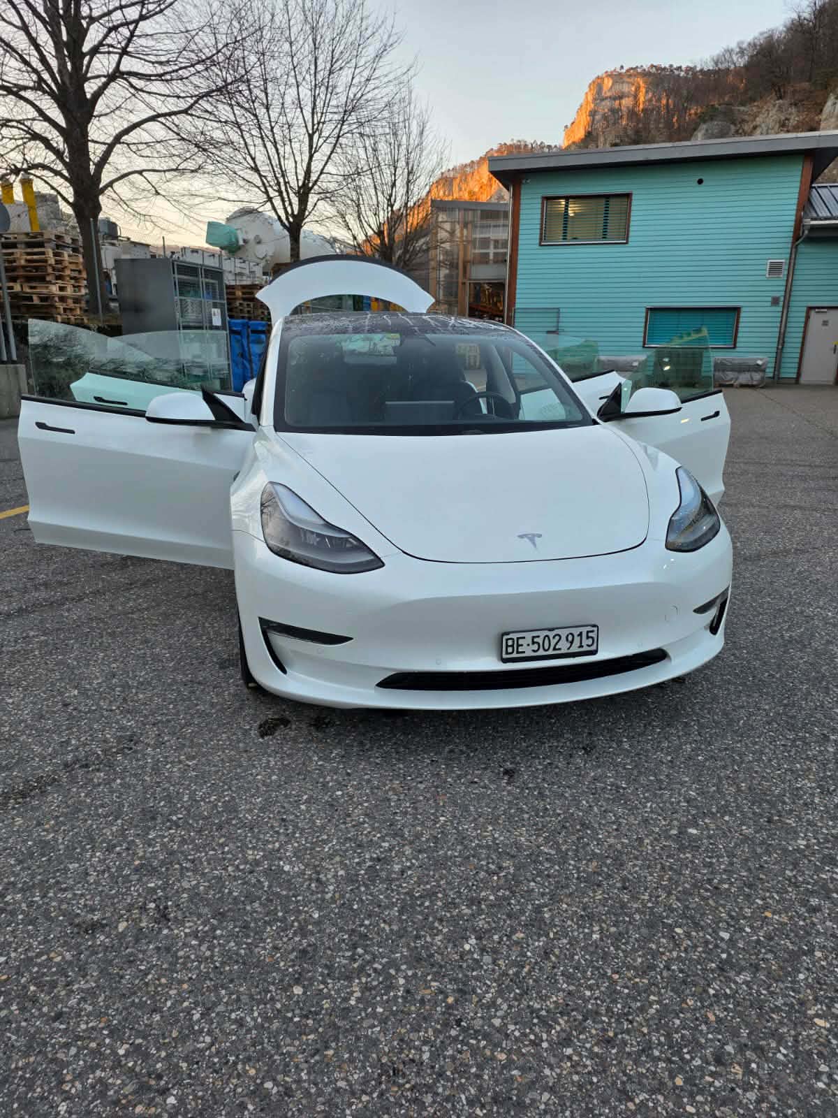 TESLA Model 3 Performance Dual Motor AWD-image-4
