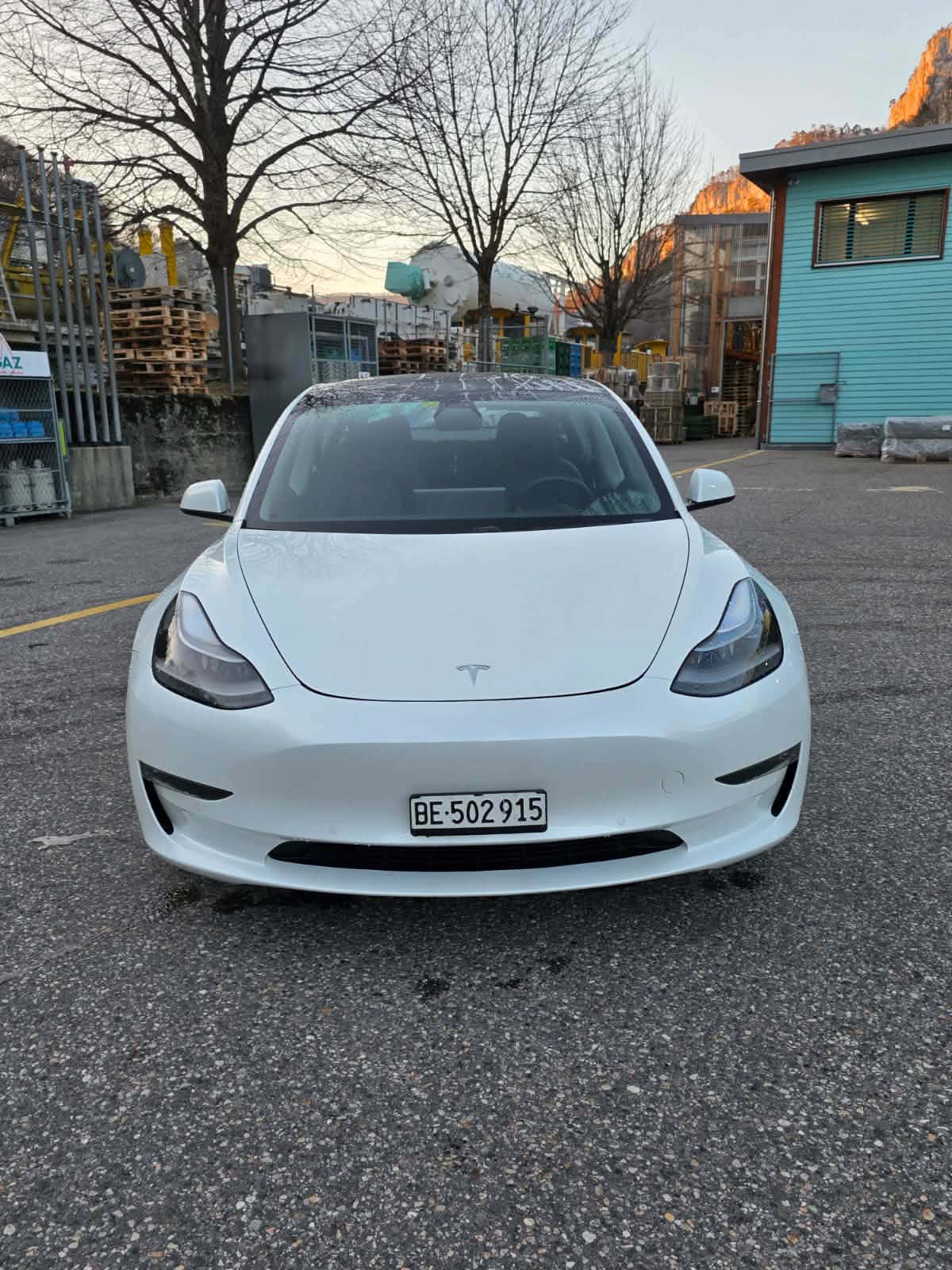 TESLA Model 3 Performance Dual Motor AWD-image-2