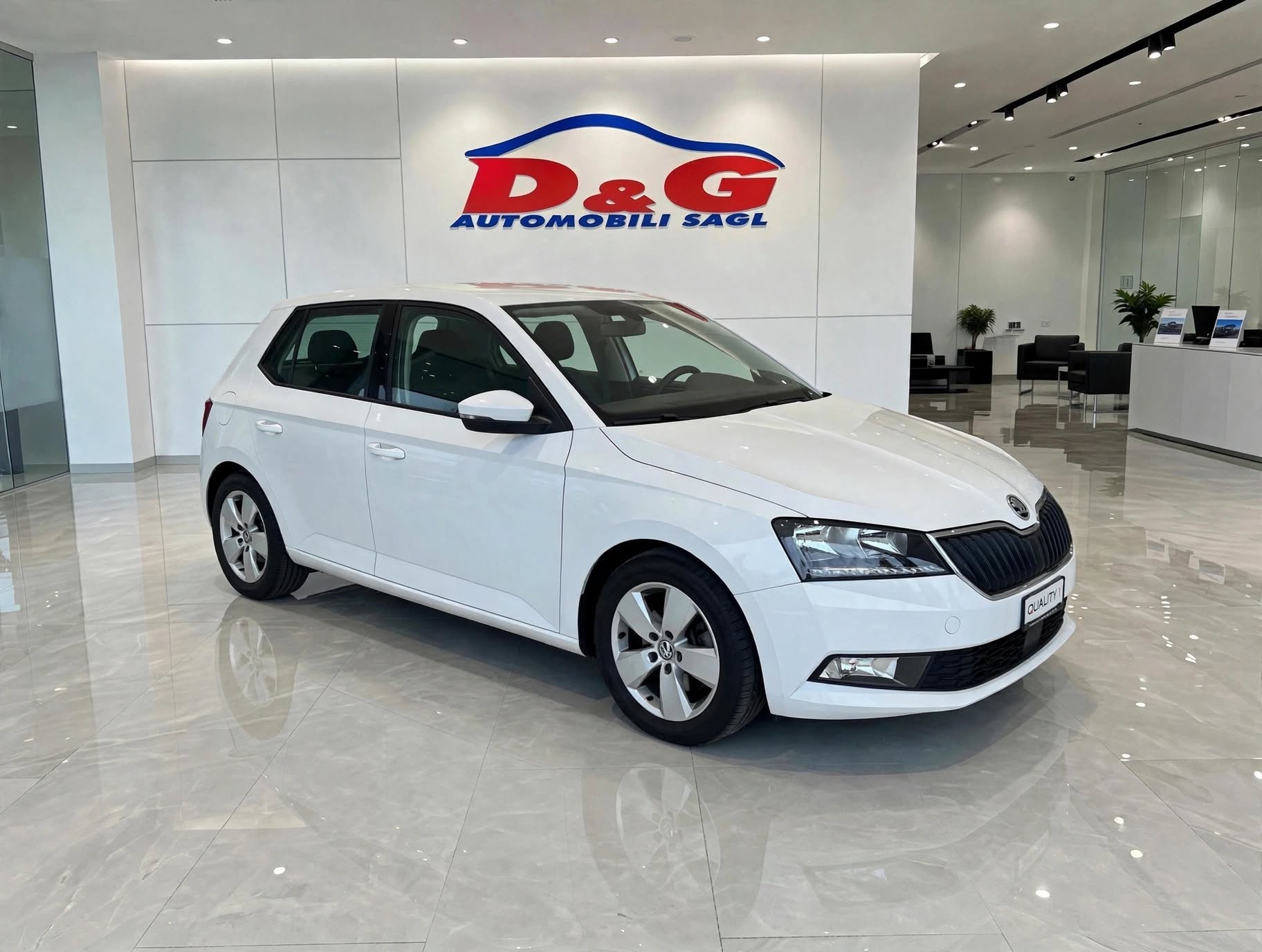 SKODA Fabia 1.0 TSI Ambition DSG-image-1
